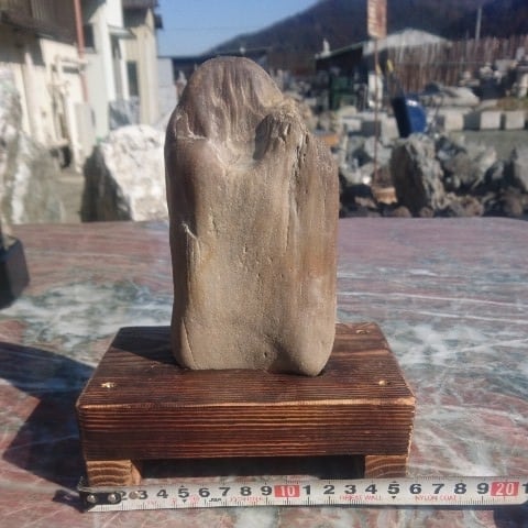 珪化木(木化石) 庭石 鑑賞石 原石 置物 オブジェ インテリア 化石