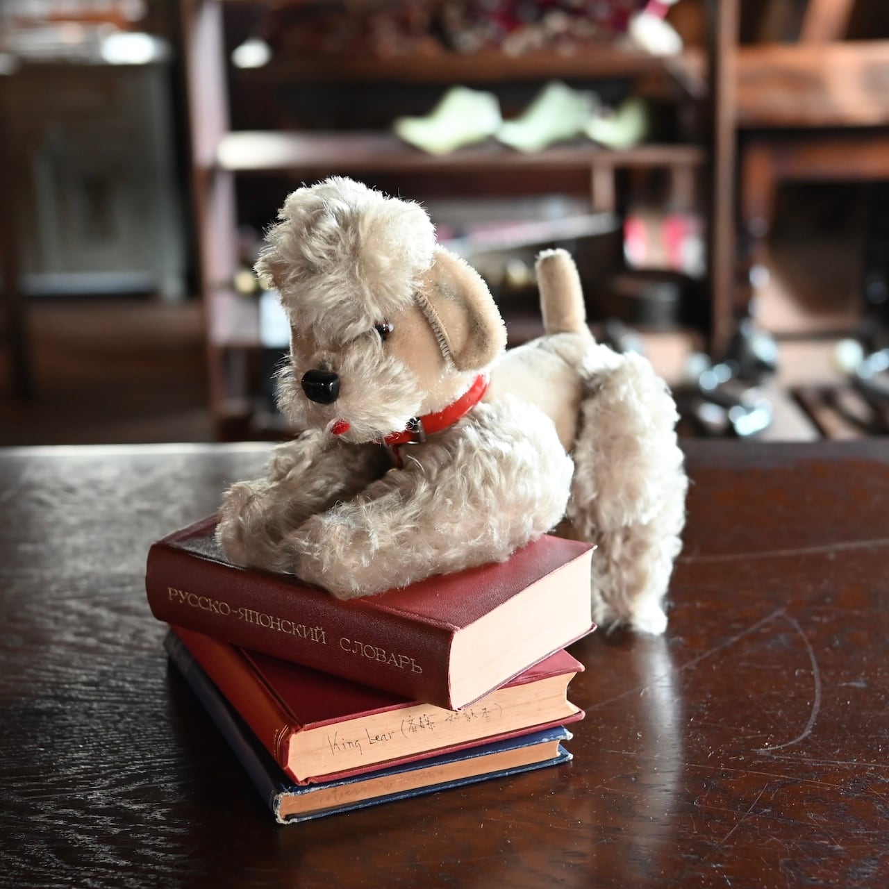 Stuffed Toy / ぬいぐるみ〈 犬・プードル・オブジェ・ディスプレイ