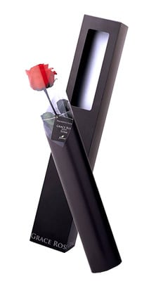 1c020121d477519f217e859341321c