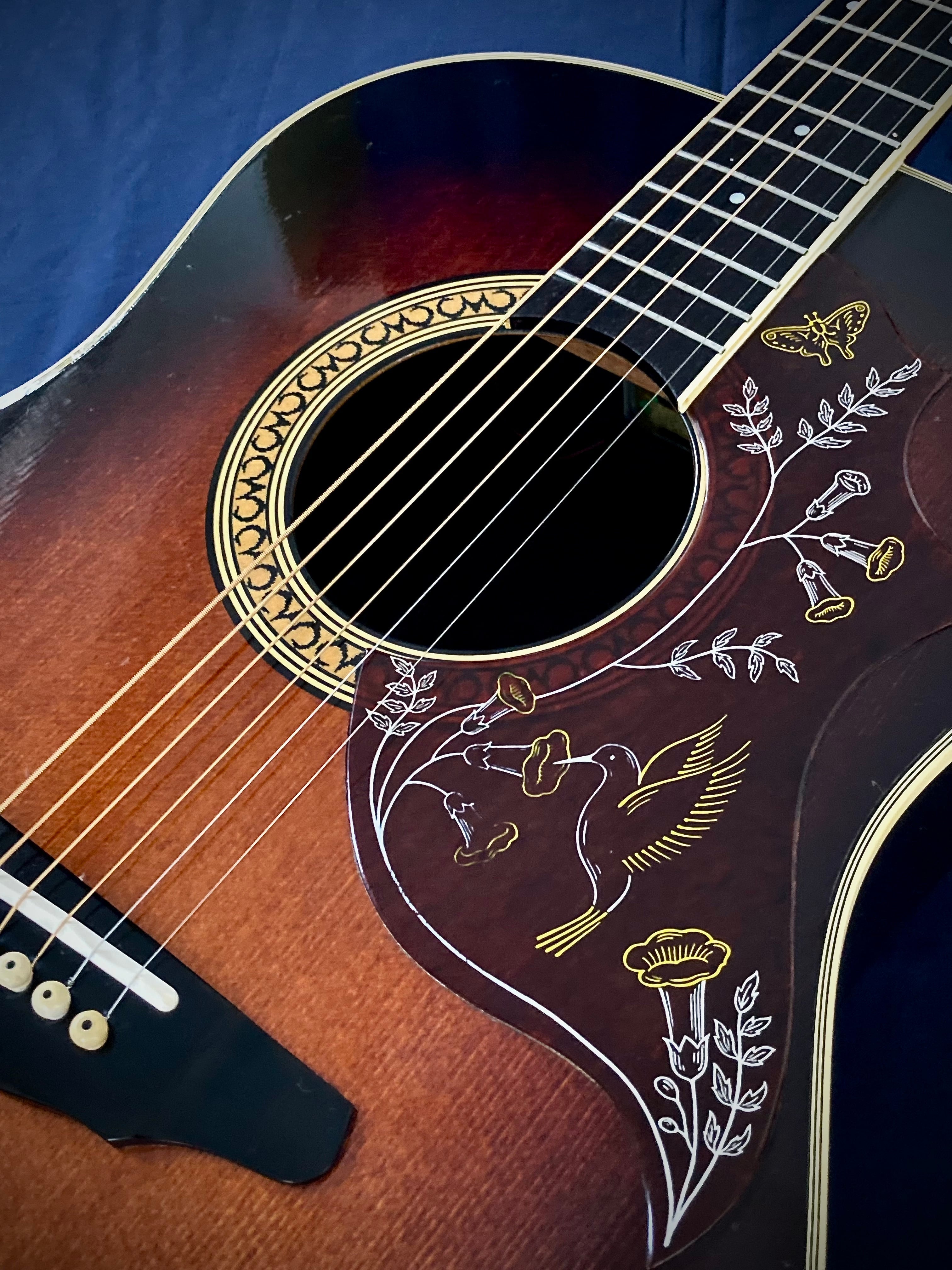 モーリス ( Morris ) TORNADO GXD 1984 Gseries スプルース単板TOP