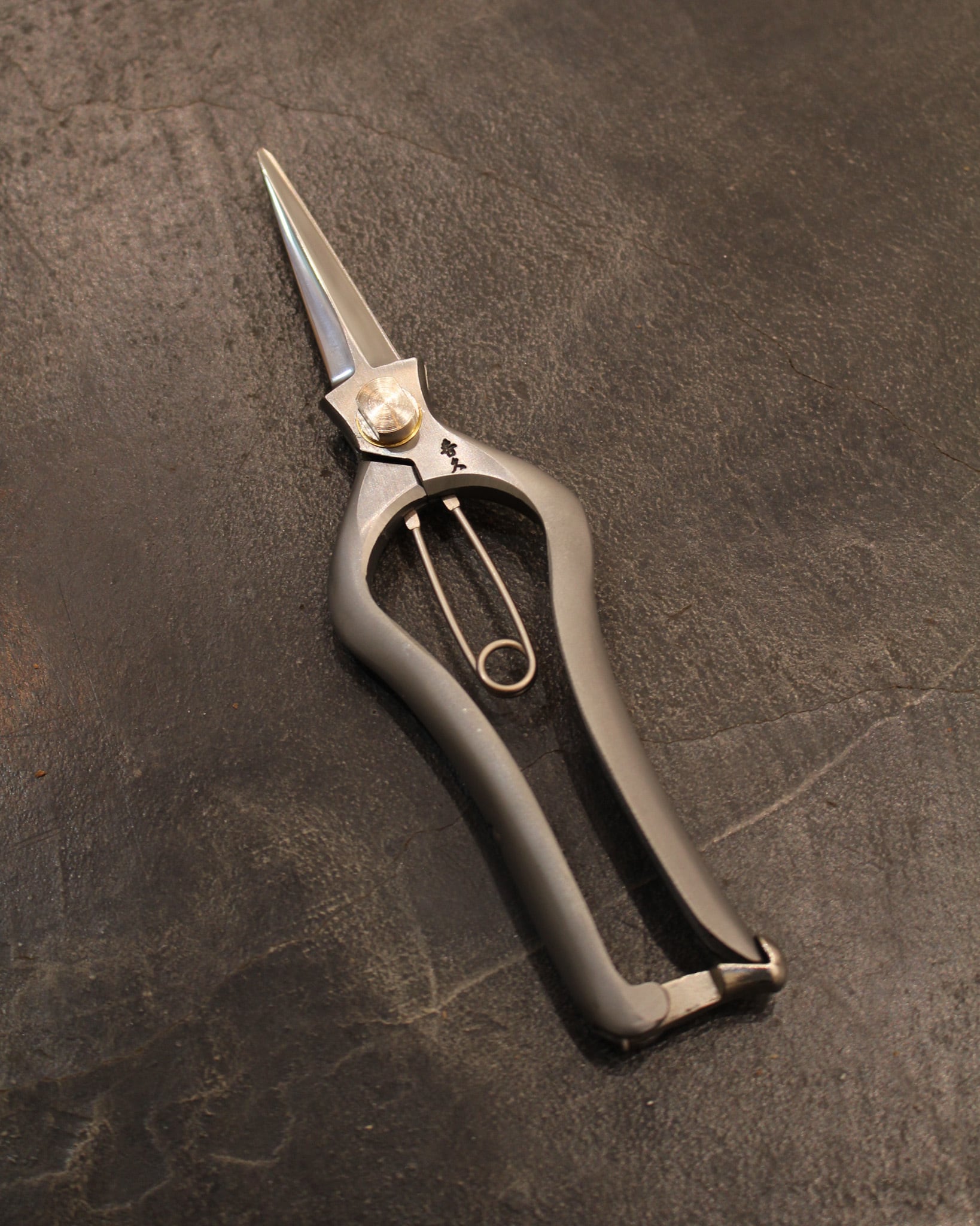 PLATYCERIUM SHEARS vandaka plants × 外山刃物 | vandaka plants