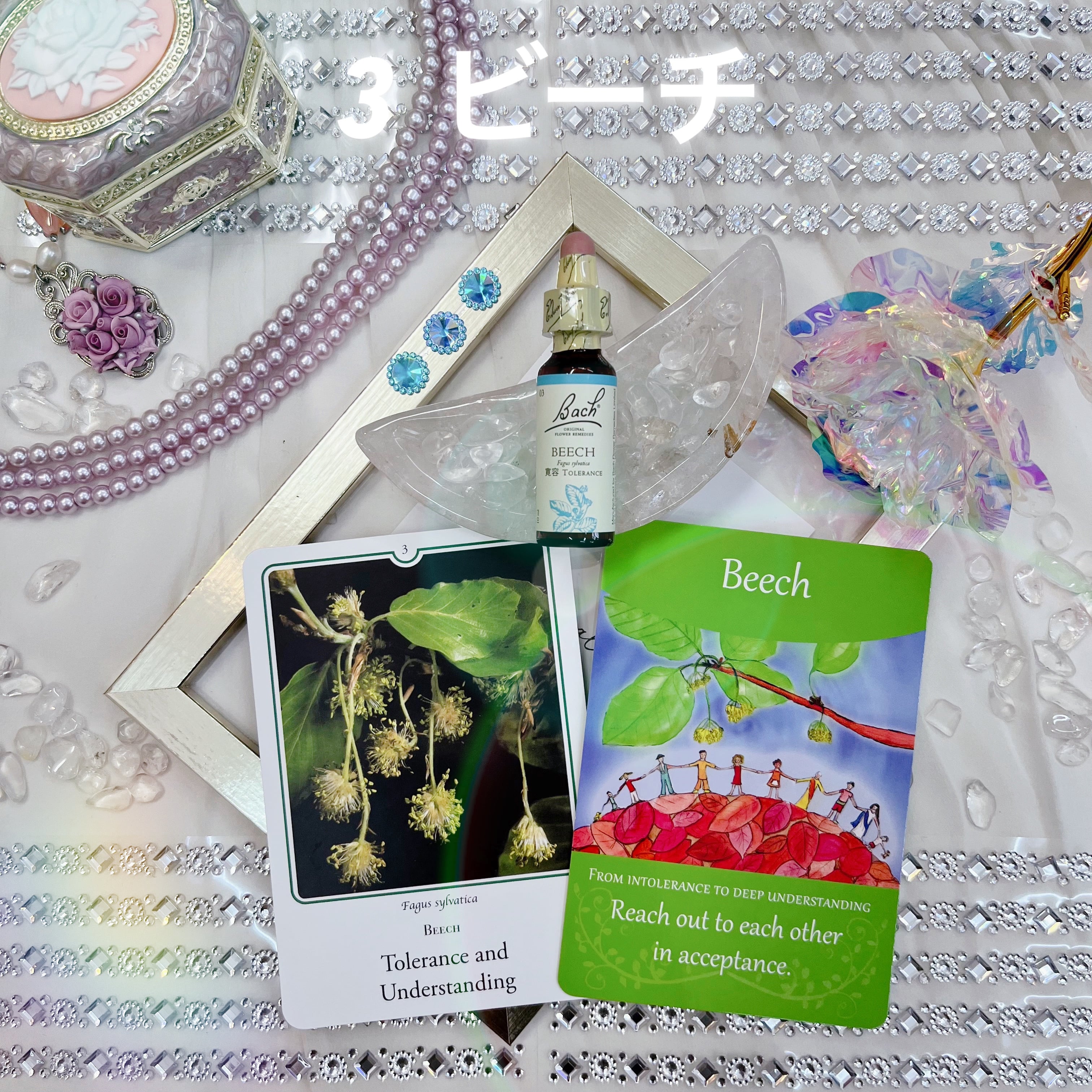 3.ビーチ バッチフラワーレメディ フラワーエッセンス | lunafortuna3