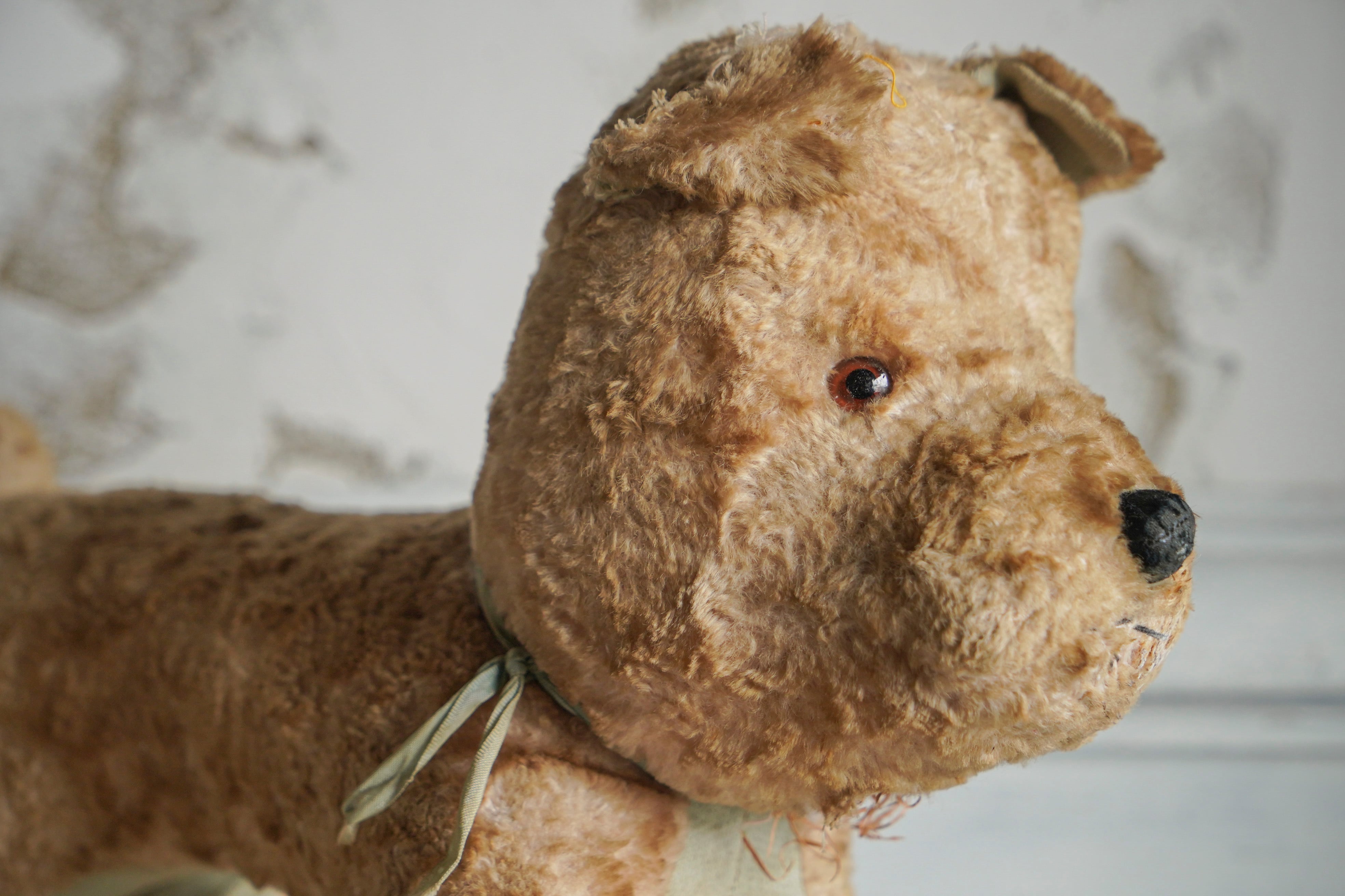 国内作家 ケイタベア いぬのぬいぐるみ 帽子付き アンティーク 一点物