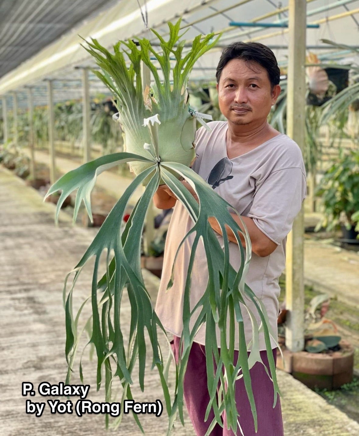 1fa0fa65be320e951e20ede46a8b92