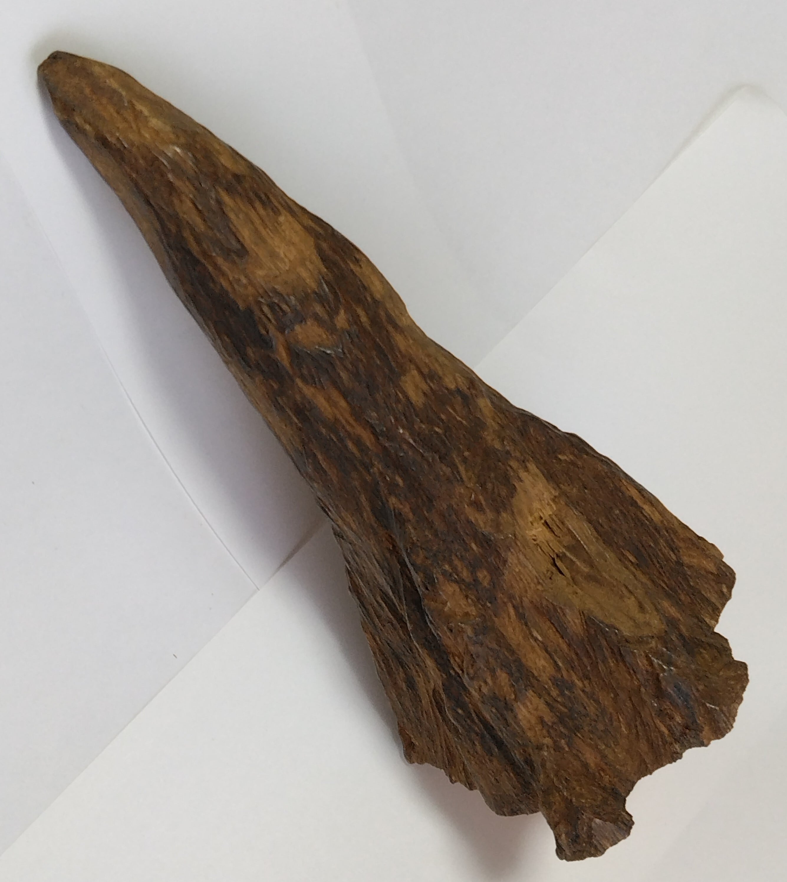 極上沈香・伽羅「榛王（しんのう）」原木B | レアショップ ここにあった！