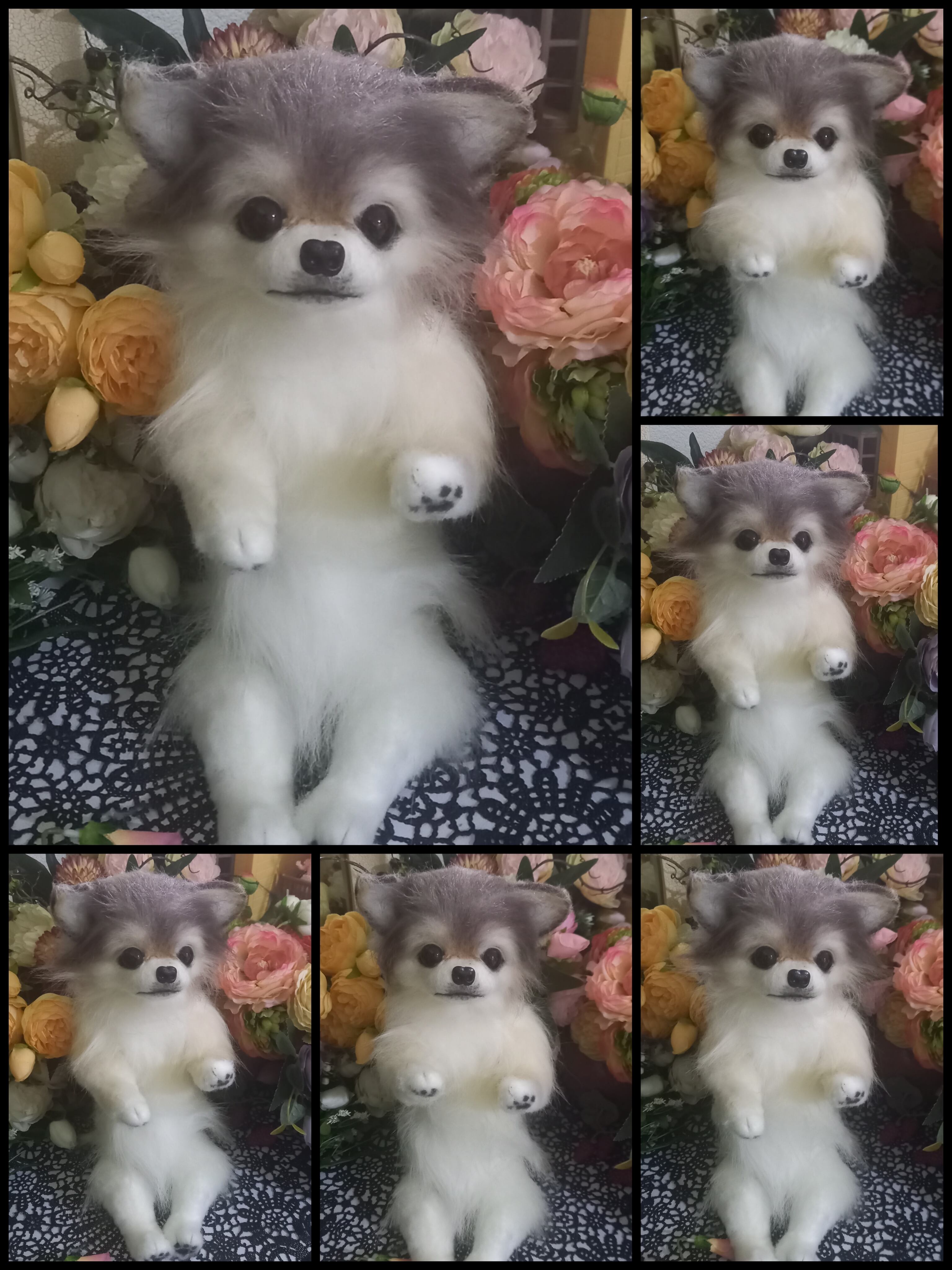 展示写真 チワワ 実物大 リアル ぬいぐるみ 羊毛 カズコオガワ