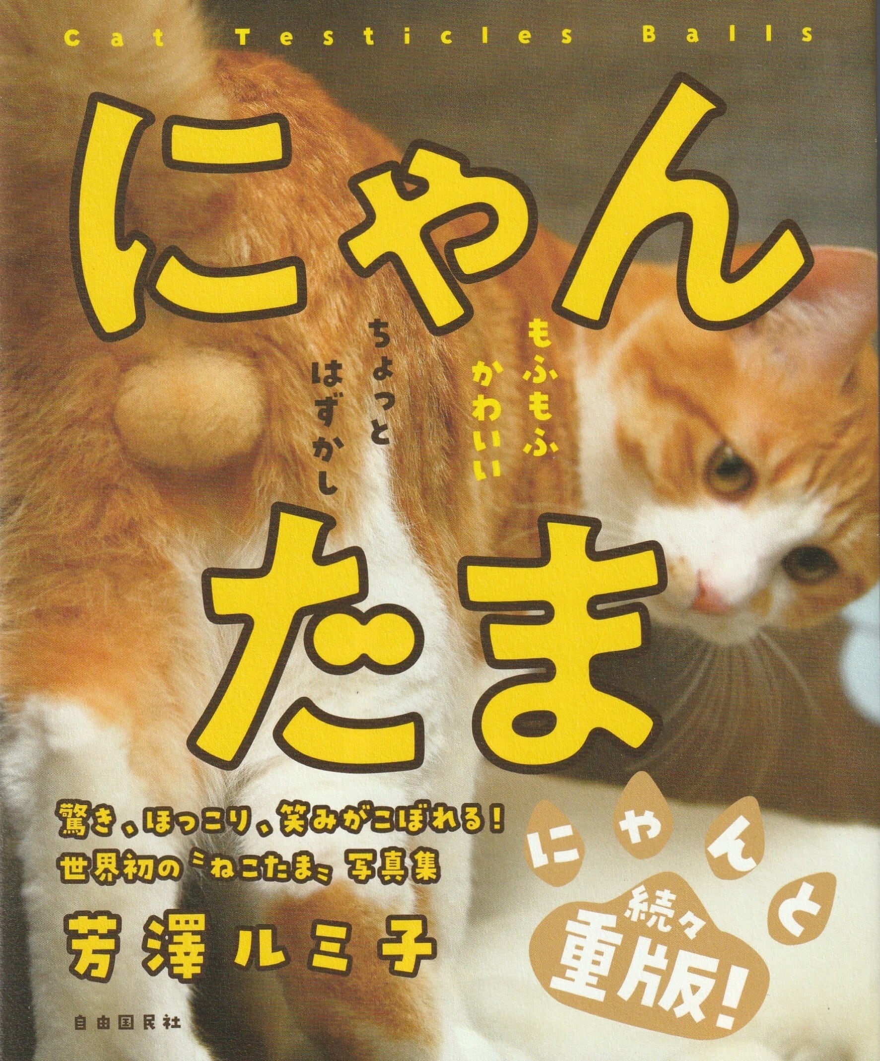 20300c9913bf2e857cb2addd44321e