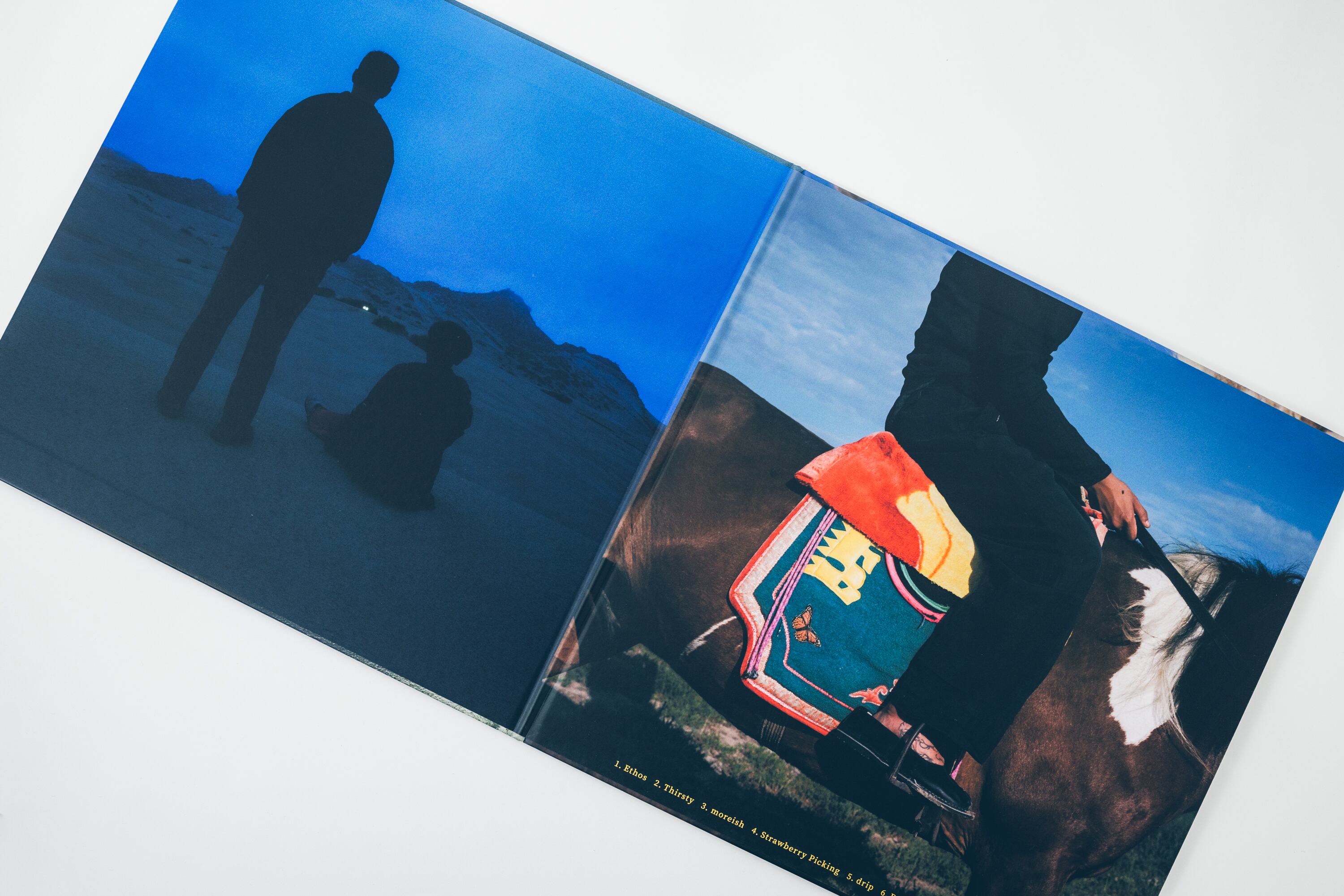 Vinyl ＜Pathway＞ | She Her Her Hers オンラインショップ