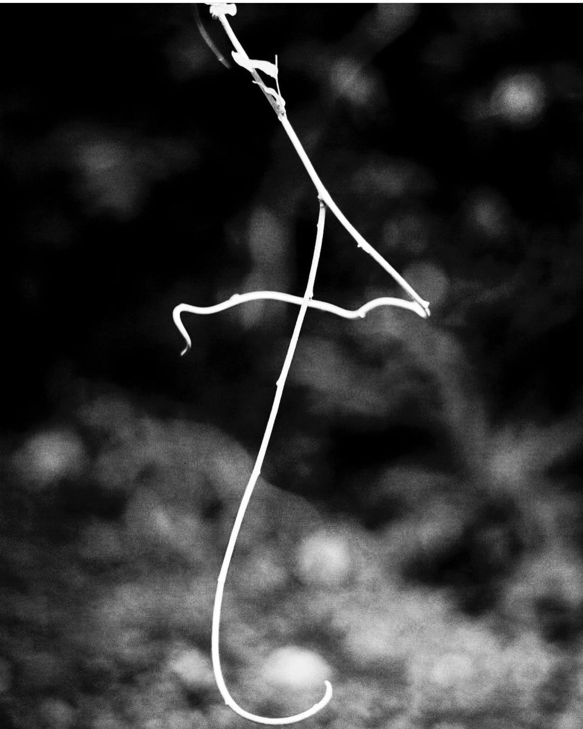 once and again / jiro konami | she