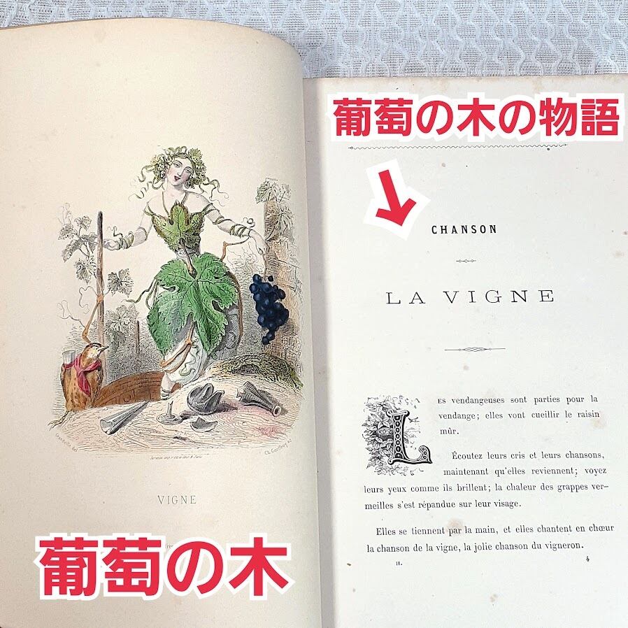 天才挿絵画家グランヴィル 【フルールアニメ 花の幻想】 希少な2冊組