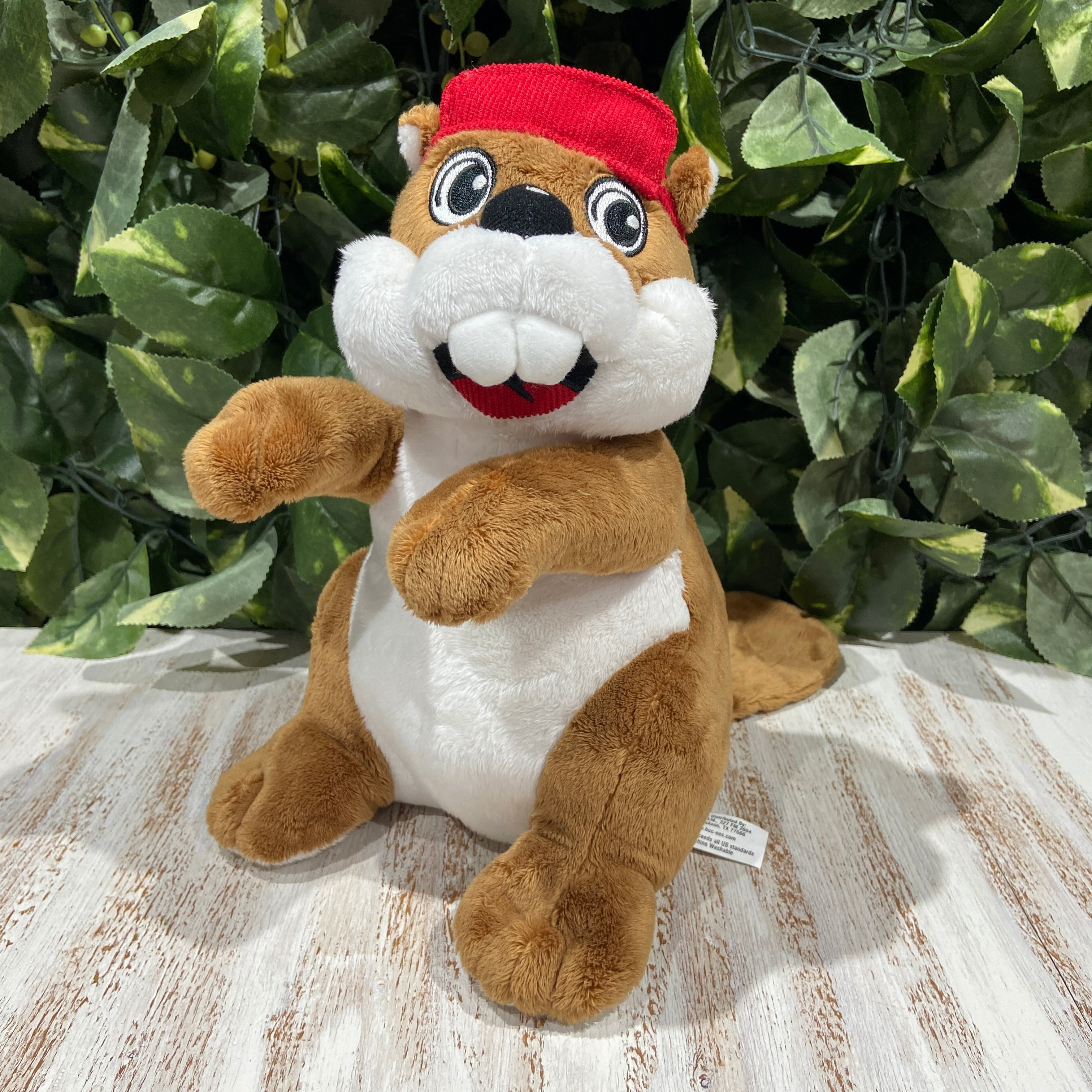 ☆バッキーくん☆バッキーズ☆ガソリンスタンド☆マスコット