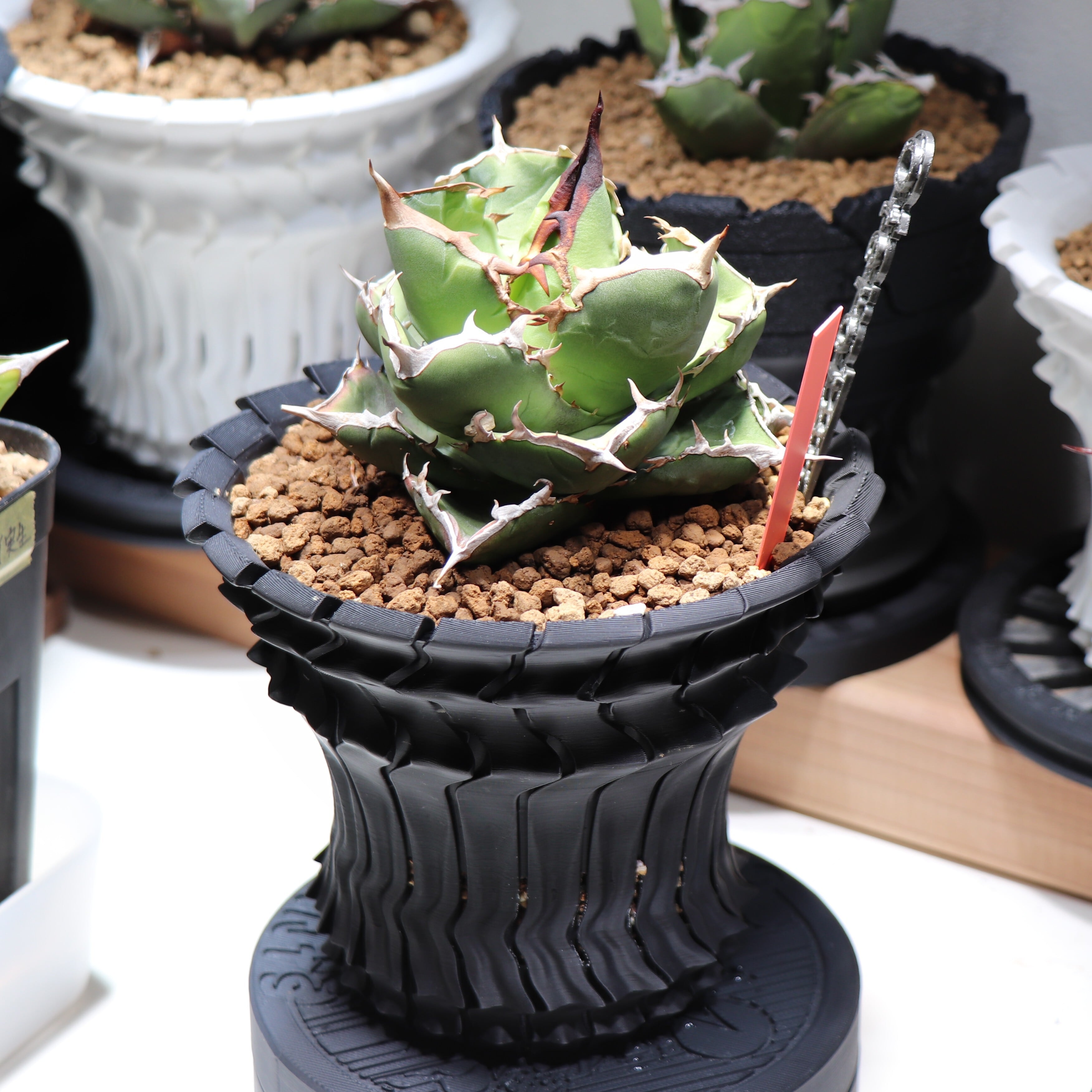 orange8base 〜作家鉢〜