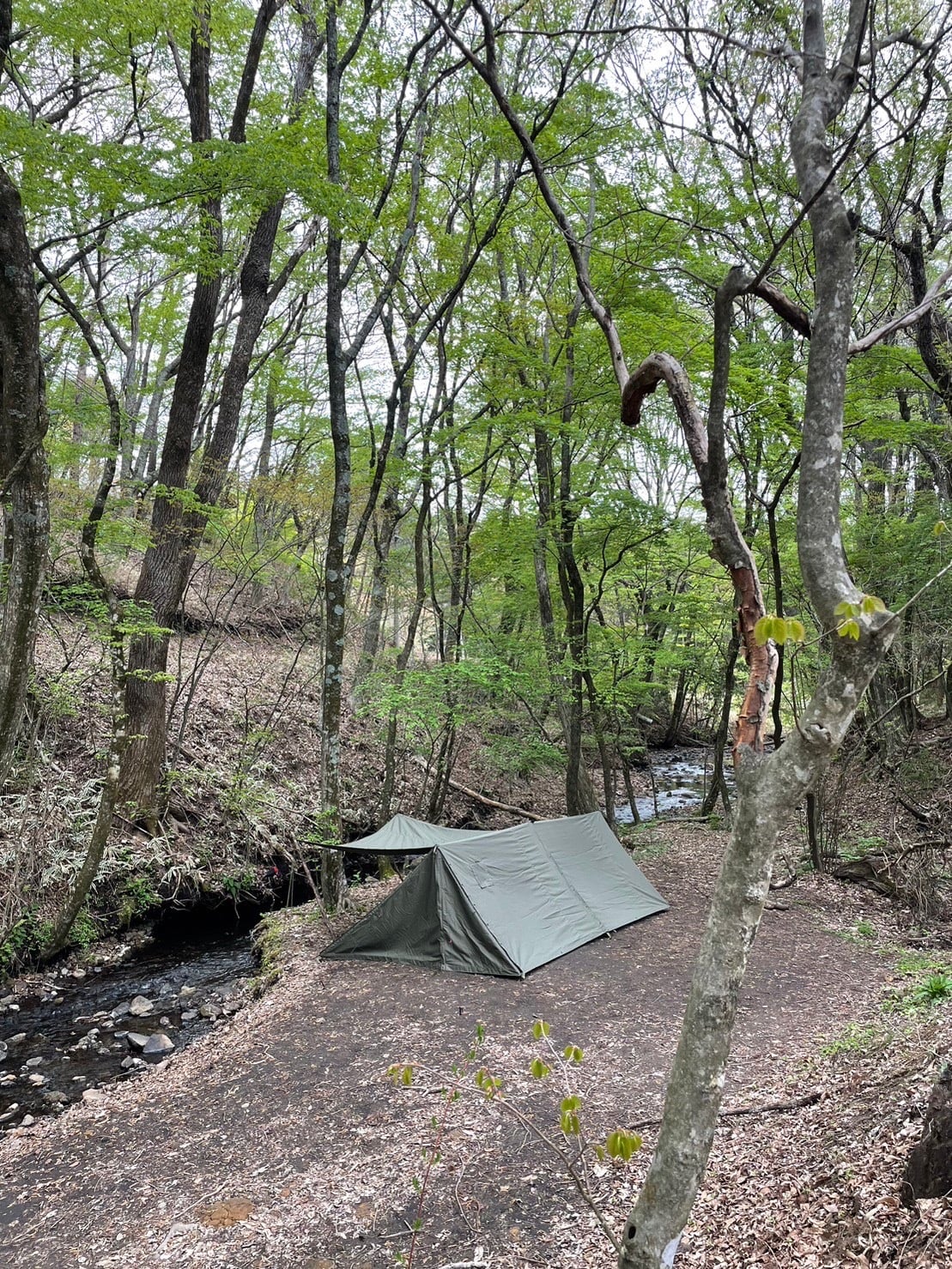 ZIVETALIAN 肥後幕 | ZIVETALIAN