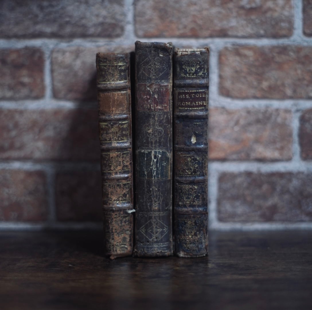 革装丁の洋書【3set】古書 アンティーク ヴィンテージ インテリア