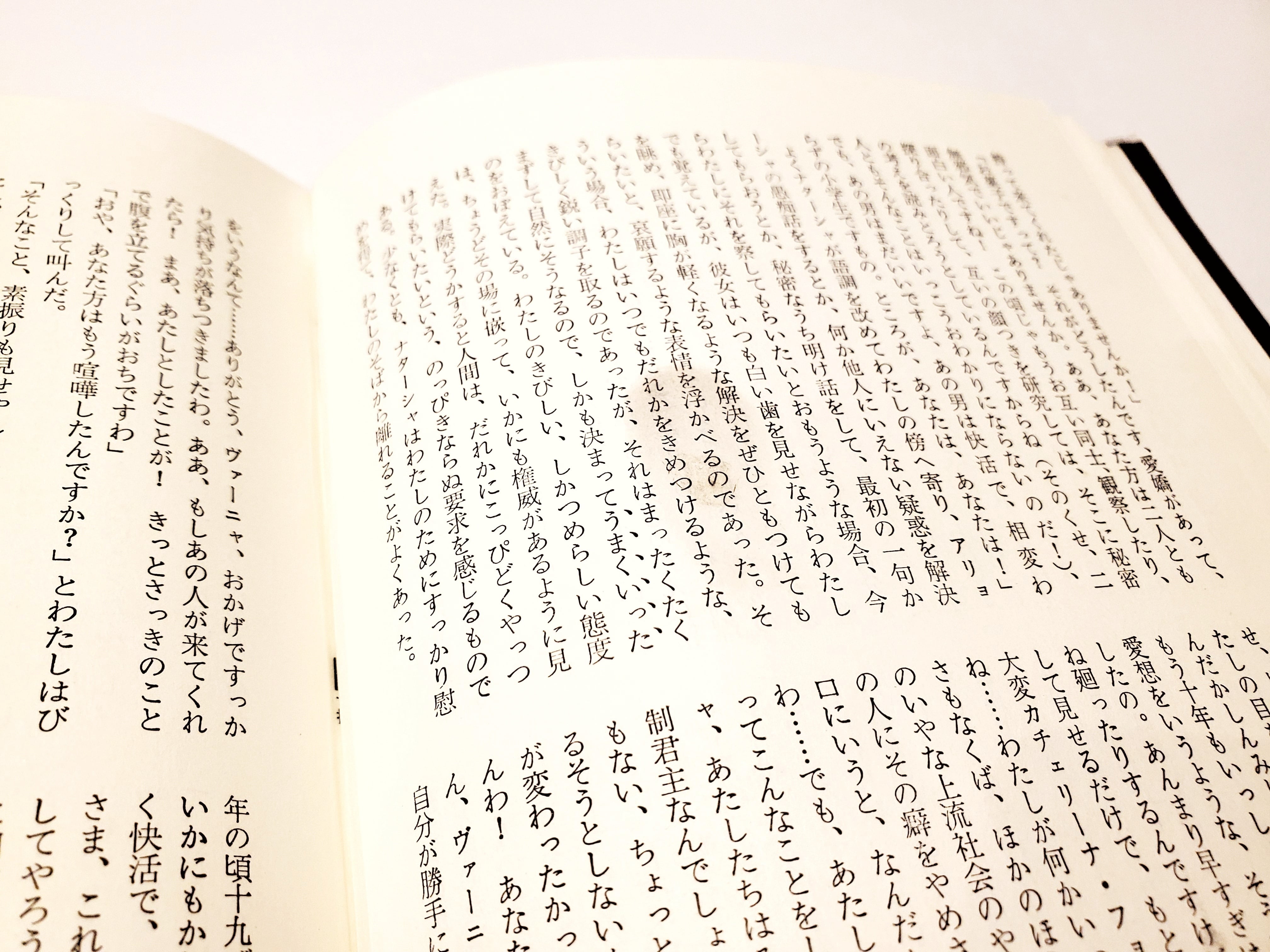 ドストエーフスキイ全集 全20巻＋別巻 21冊セット【古本】 | 七月堂古書部