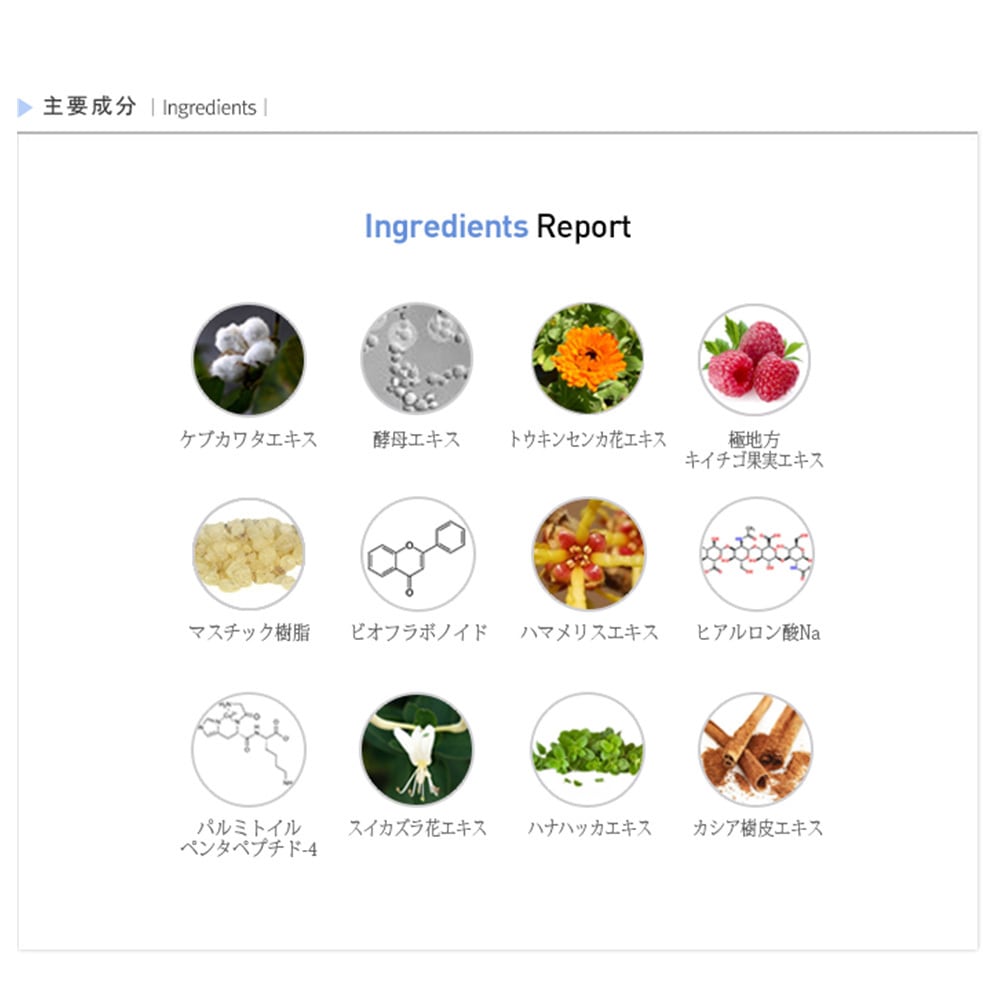 Rene-Cell】ルネセル マルチ ペプチドトナー 200ml | [ルネセル] Multi