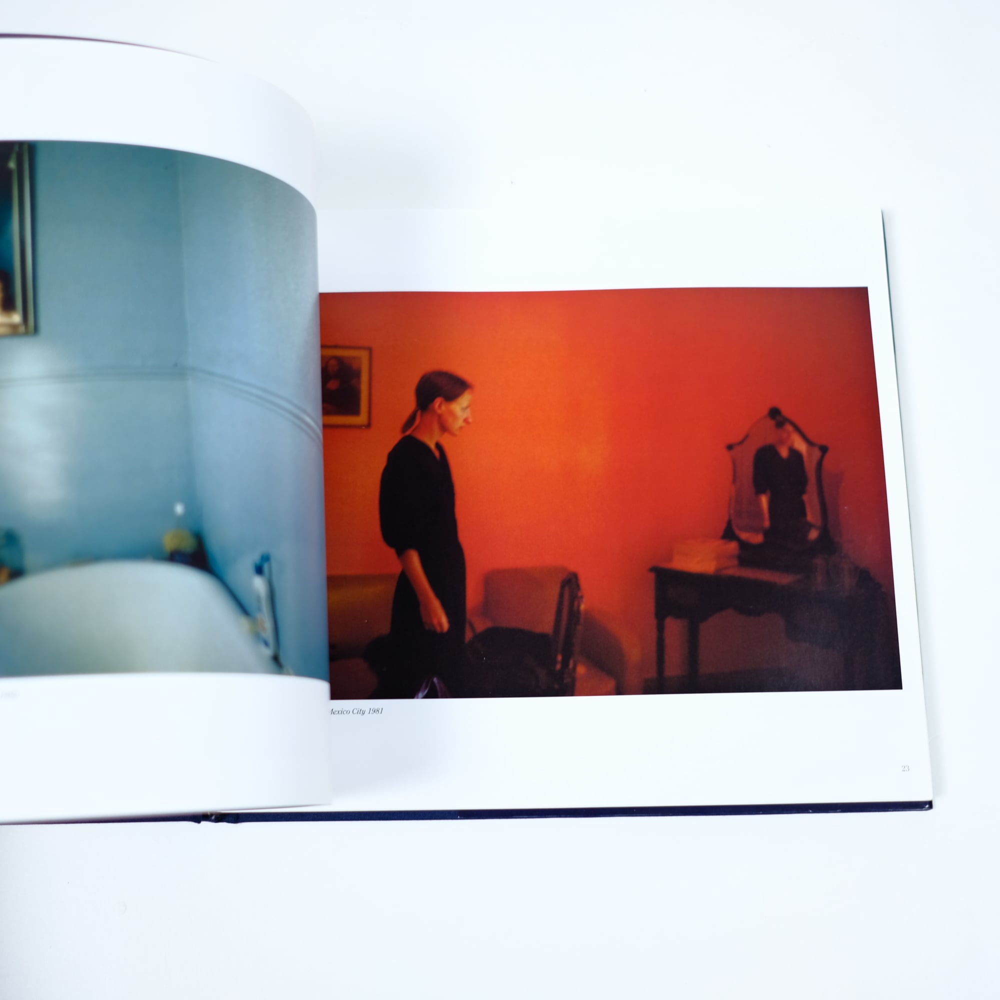 THE BALLAD OF SEXUAL DEPENDENCY 洋書 写真集 ナン・ゴールディン nan