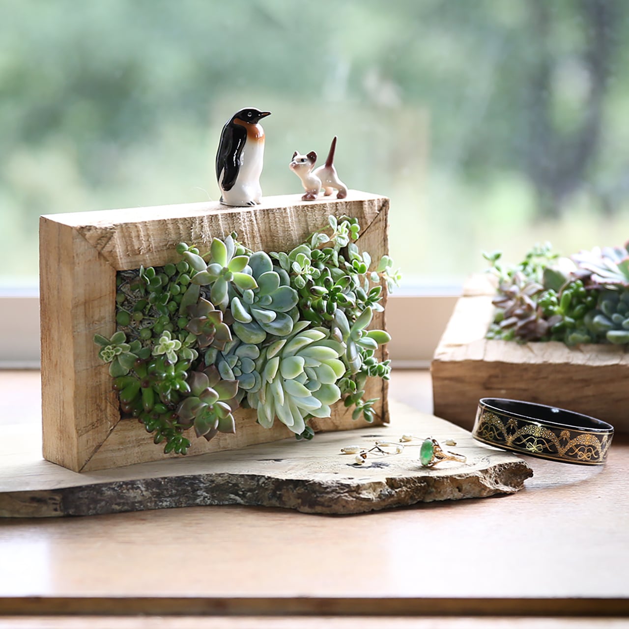 27bde37b675648e2500c17123d69e7