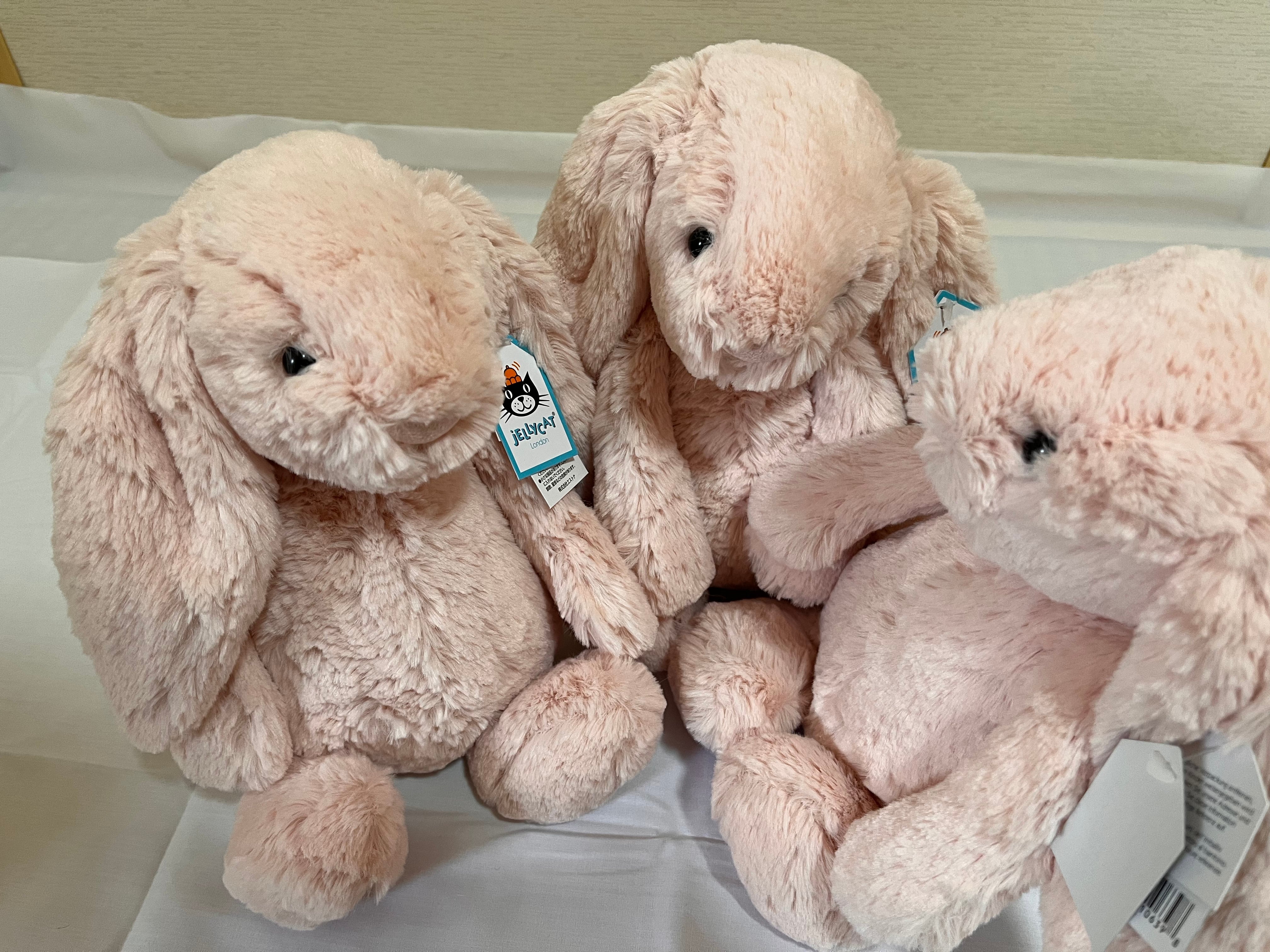 Jellycat Bashful Blush Bunny （Medium） ぬいぐるみ うさぎ ジェリー