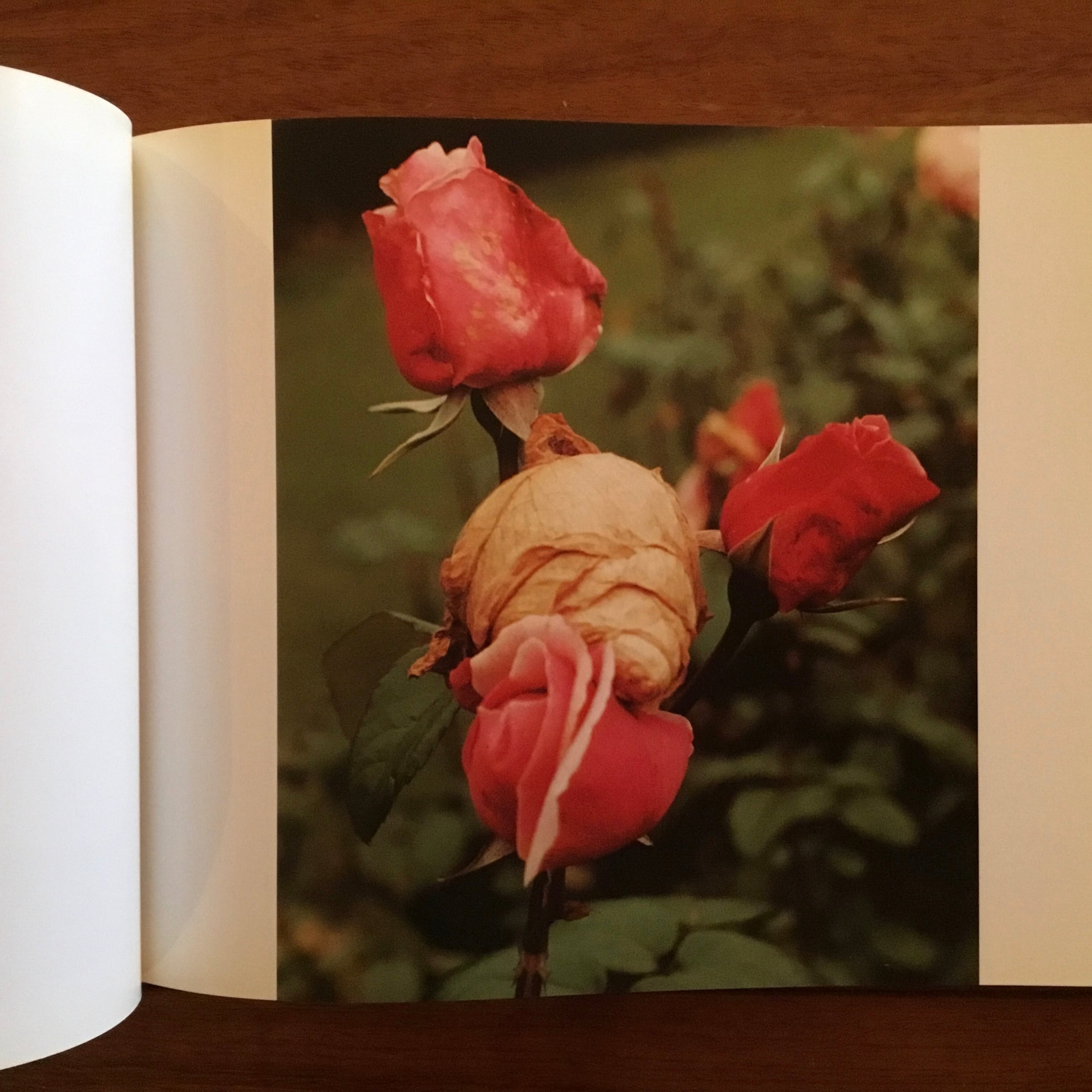 Wolfgang Tillmans: for when I'm weak I'm strong | Flying Books