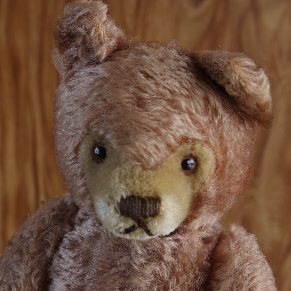 18L01ドイツ製 アンティーク Steiff オリジナル テディベア シュタイフ