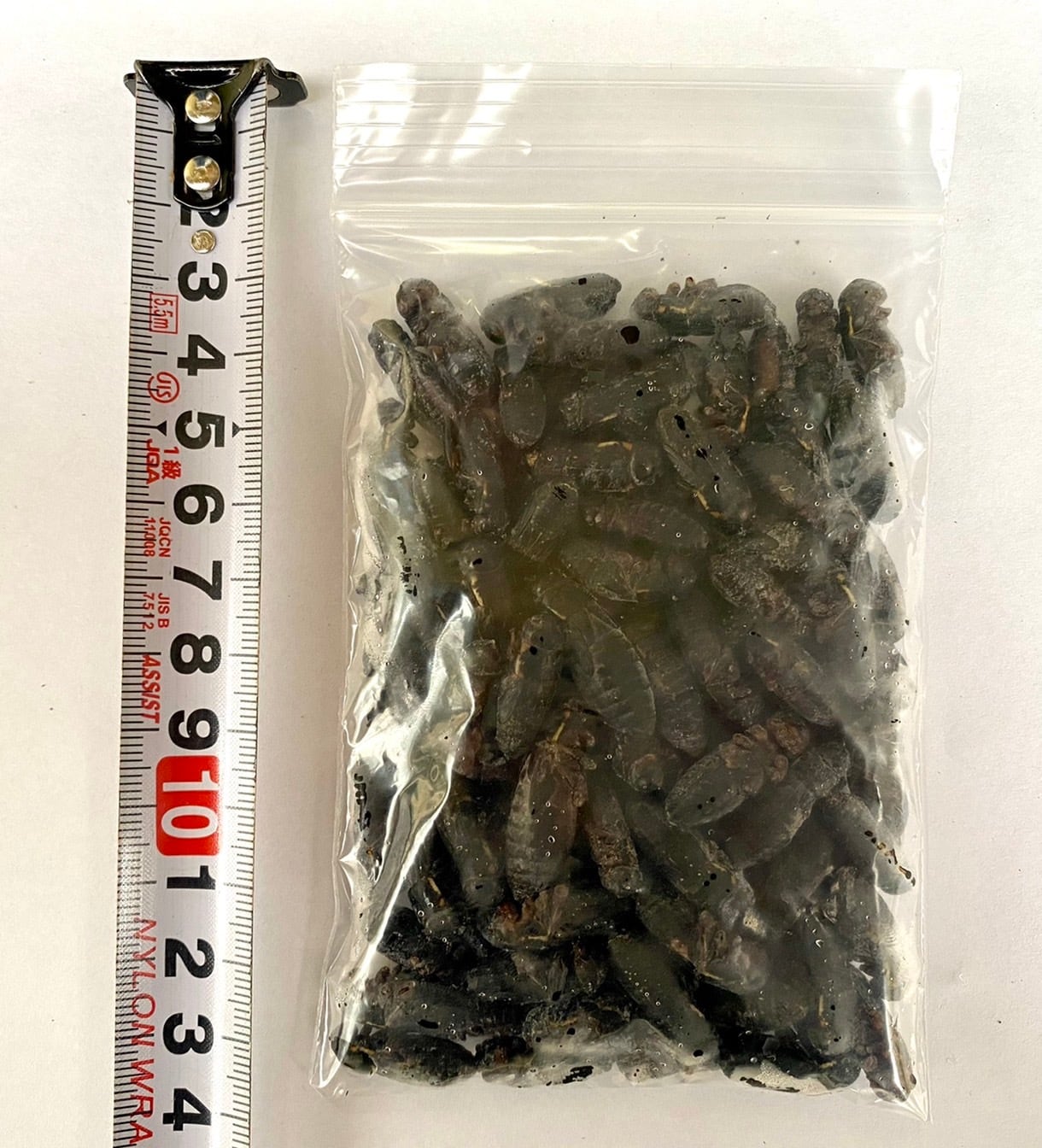 清潔コオロギ 2kg 2.0〜2.5cm多め 冷凍コオロギ 清潔コオロギ 2kg 2.0〜2.5