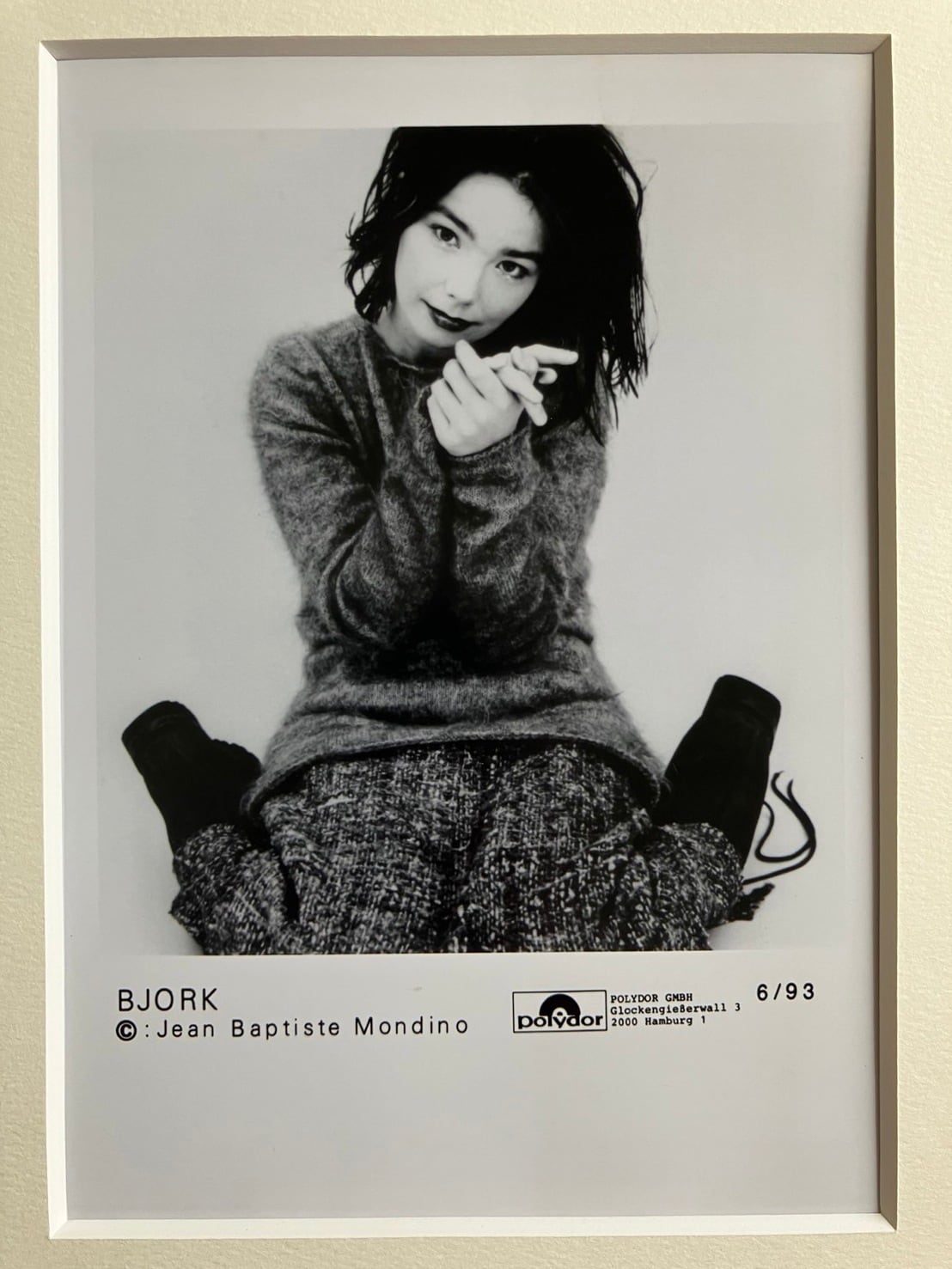 1993/Bjork「Debut」/インチ(203×254mm)額付き 002 | woodmarquee