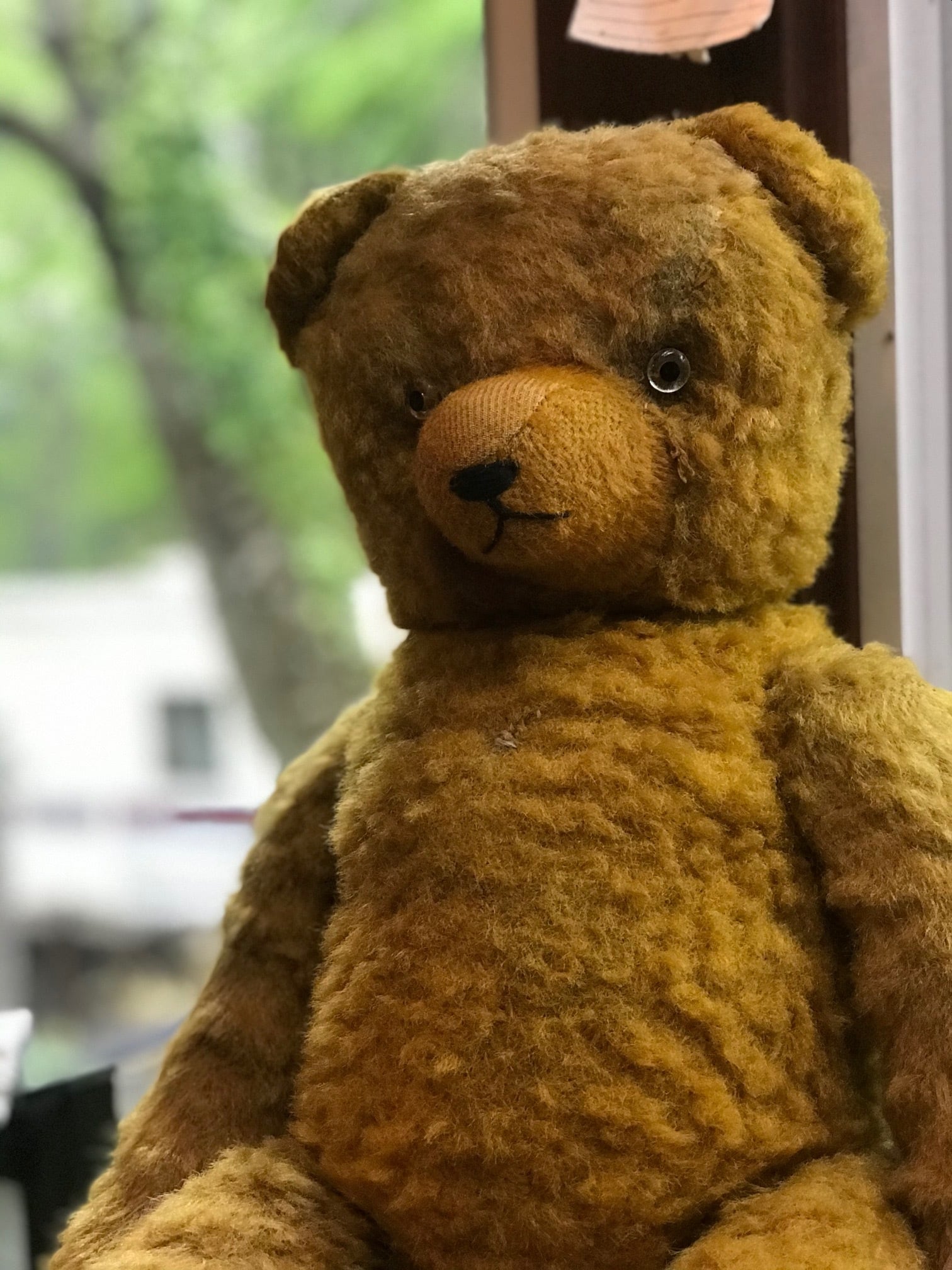 アンティーク ドイツ 1940年代 テディベア | 家貨屋 kakaya