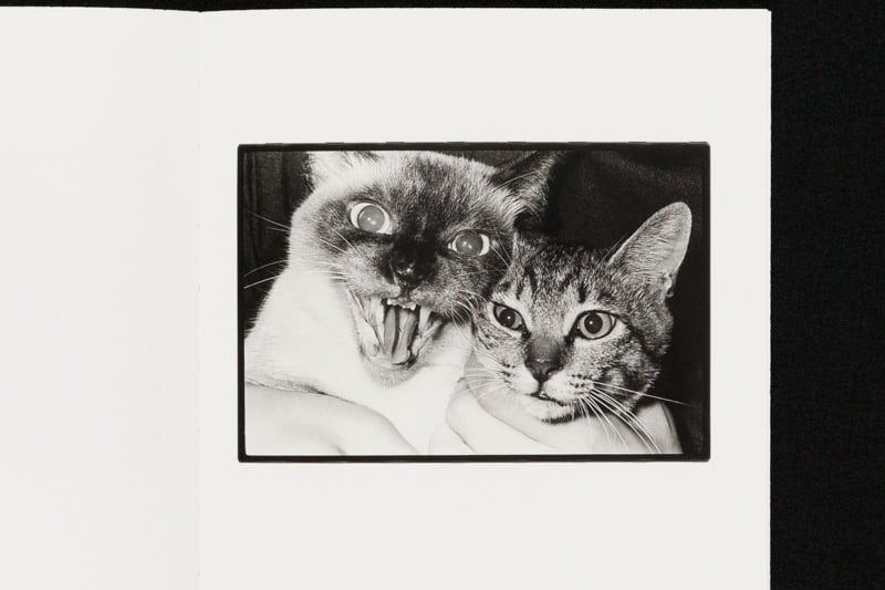 Wonderful Days 深瀬昌久 ポストカード付き 初版本 Wonderful Days