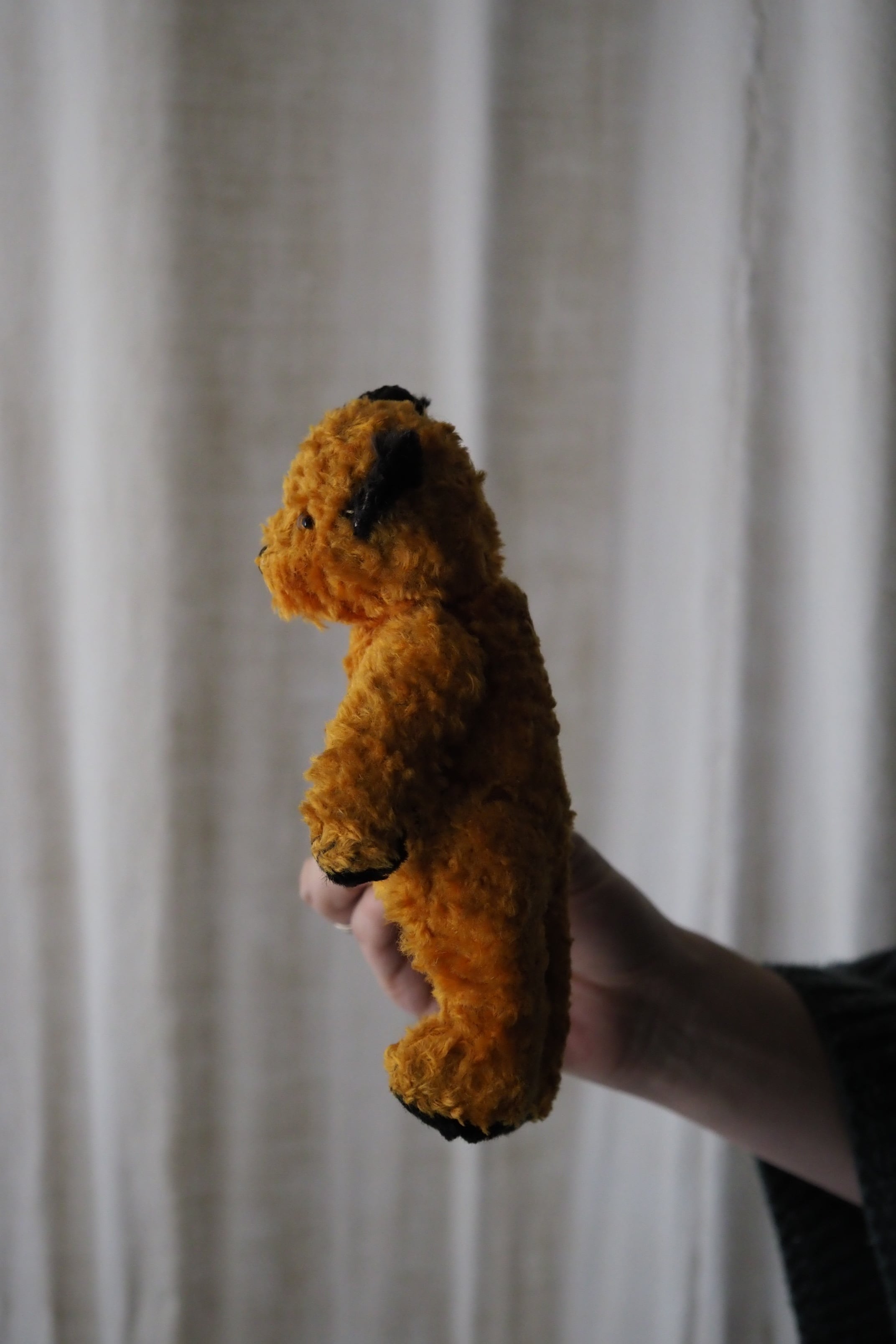 首を傾げるスーティーベア-vintage teddy bear | アンティーク