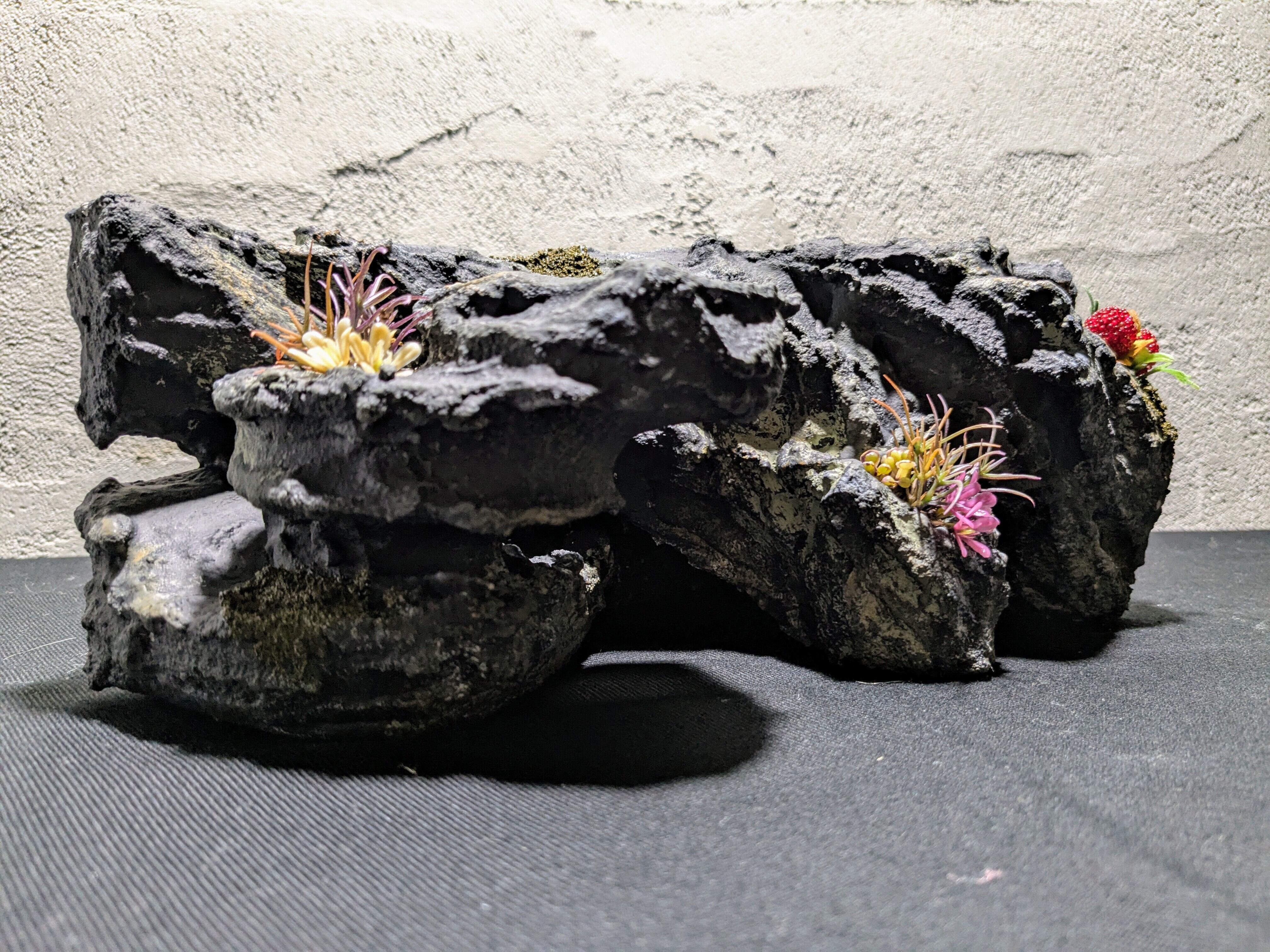 祷 Inori】オリジナル ウェットシェルター（ブラック） | 爬虫類用造形