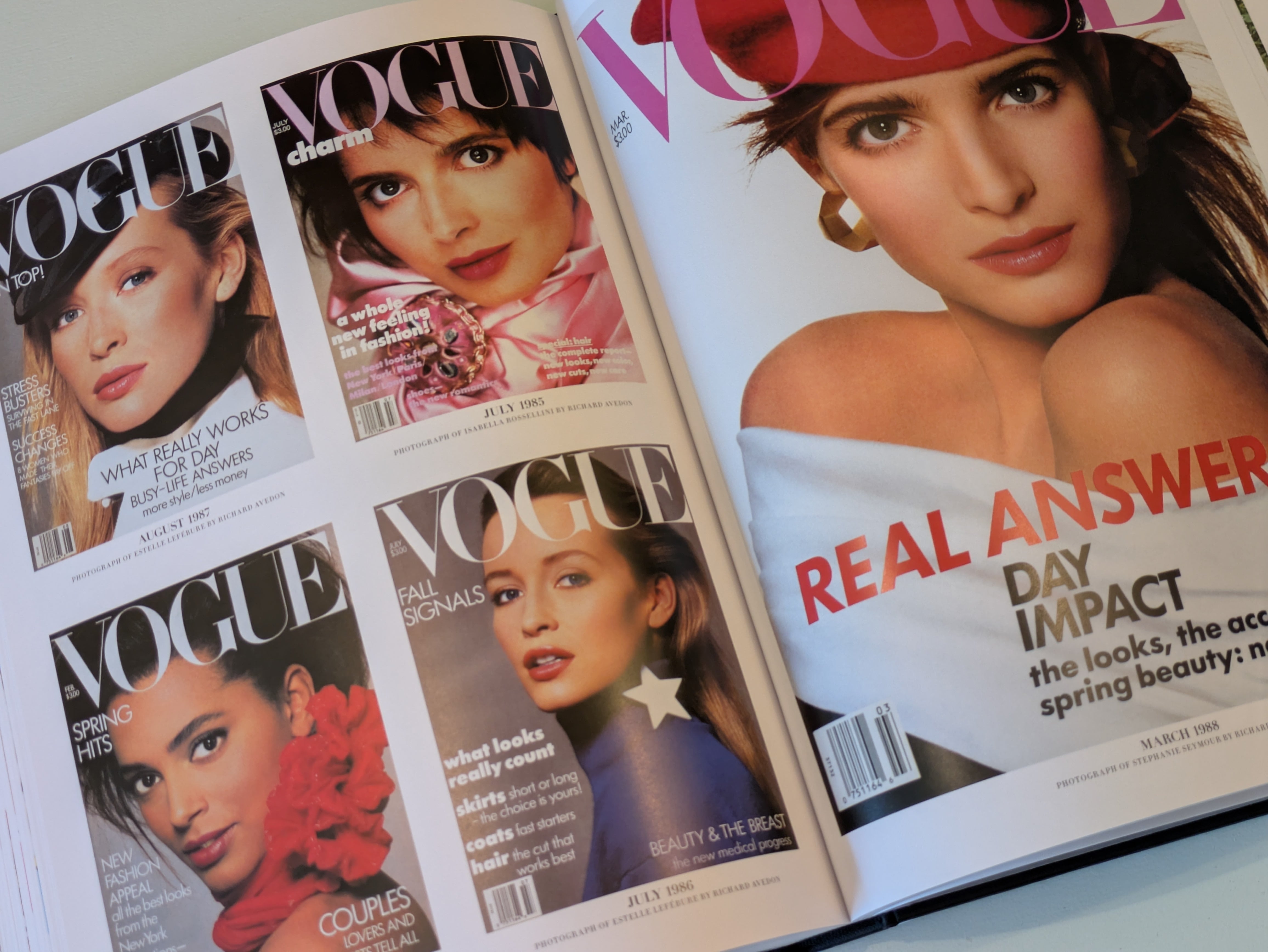 Vogue : The Covers (updated edition) / ヴォーグ カバー 表紙