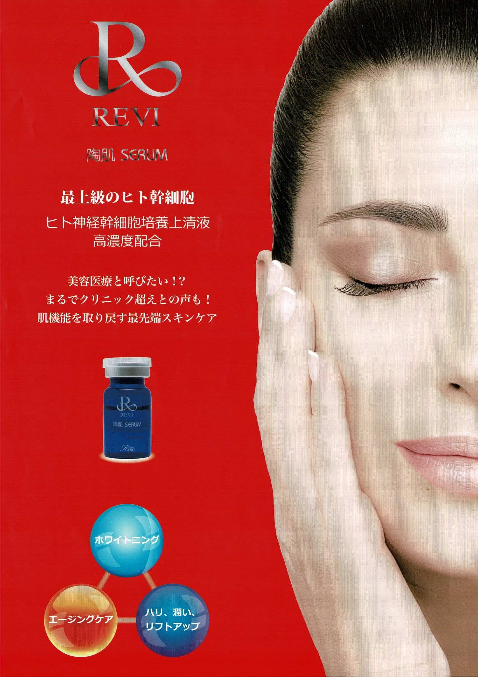 ルヴィ業務用スプレーガンセット（ルヴィ陶肌セラム（ヒト神経幹細胞