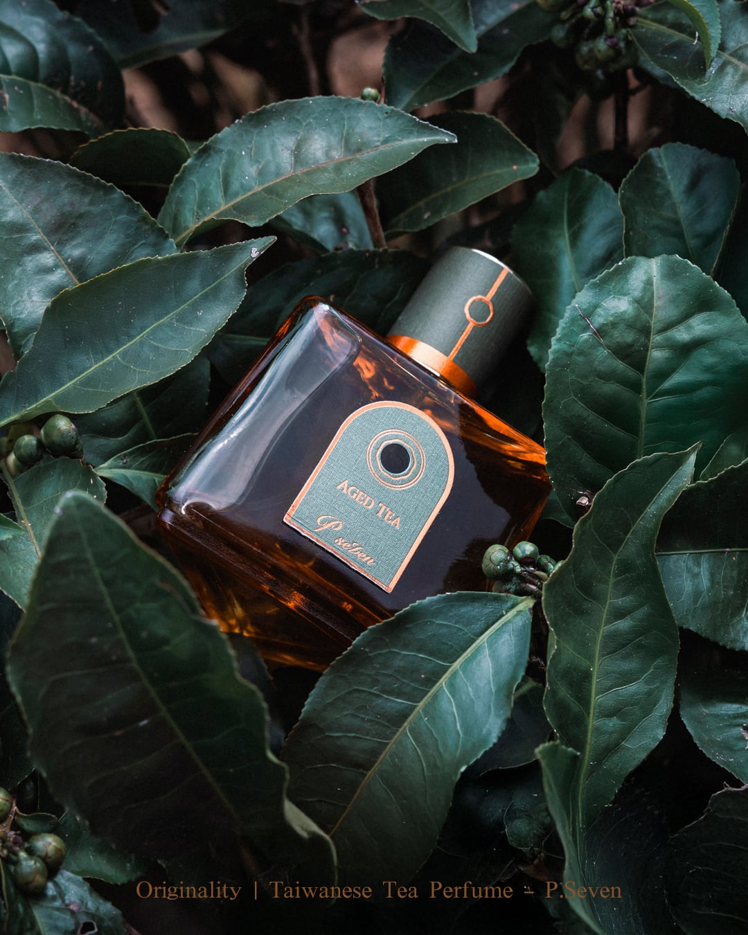 297efdcbc5cedf231e4ff30c9ee806