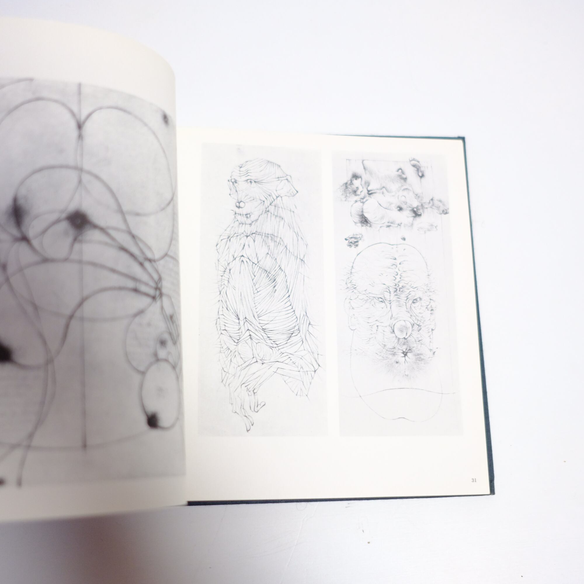 Hans Bellmer】ハンス・ベルメール ドローイング 版画集 画集 | artbookano