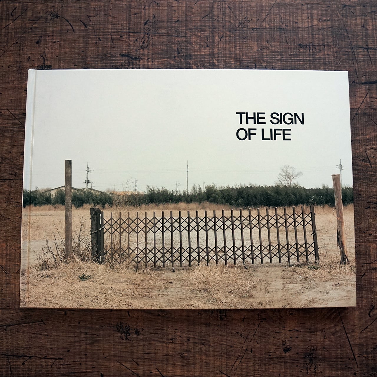 清野賀子写真集『THE SIGN OF LIFE』 | タイムカプセル