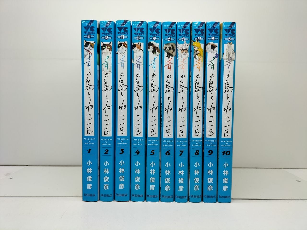 未裁断】薬剤師国家試験 第111回 青本・青問 新品 未裁断】薬剤師国家