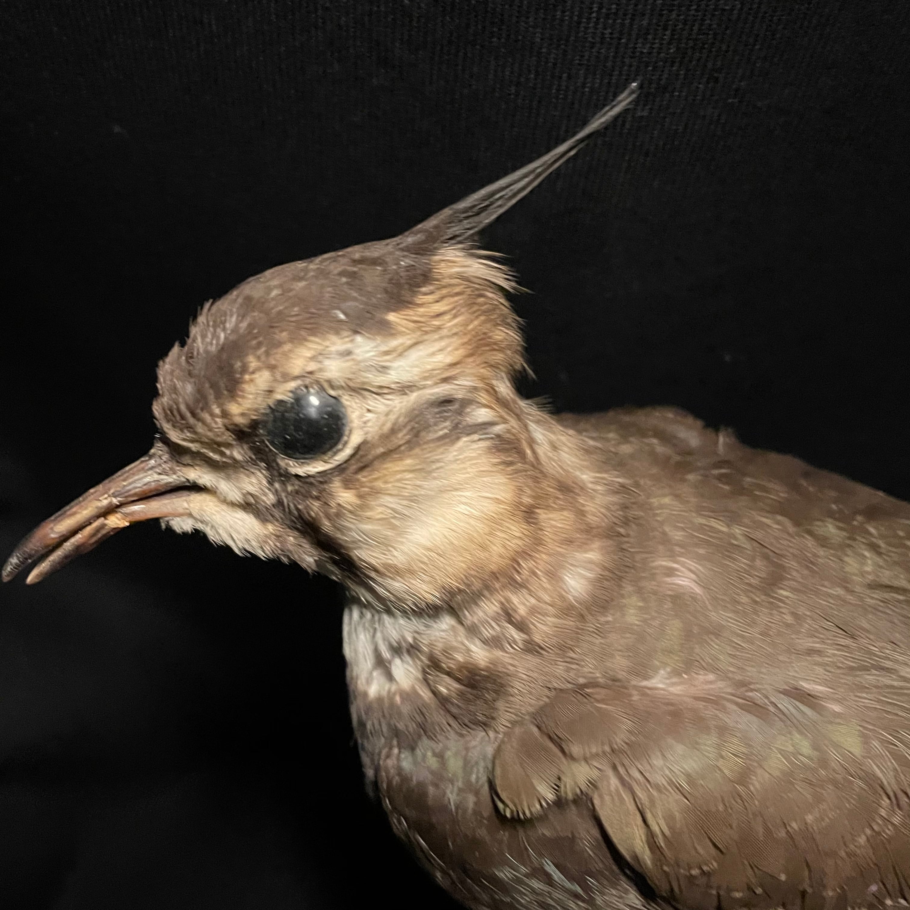 2b02490543d376ec6193c991e9d62c