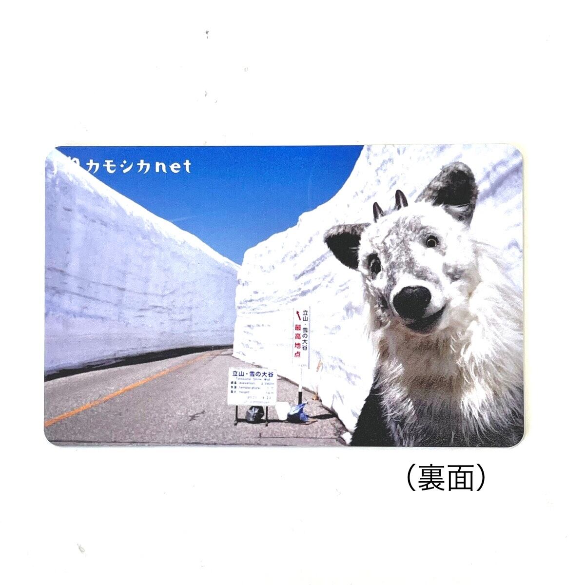 三太のワクワクカード シリアルナンバー付き | カモシカnet