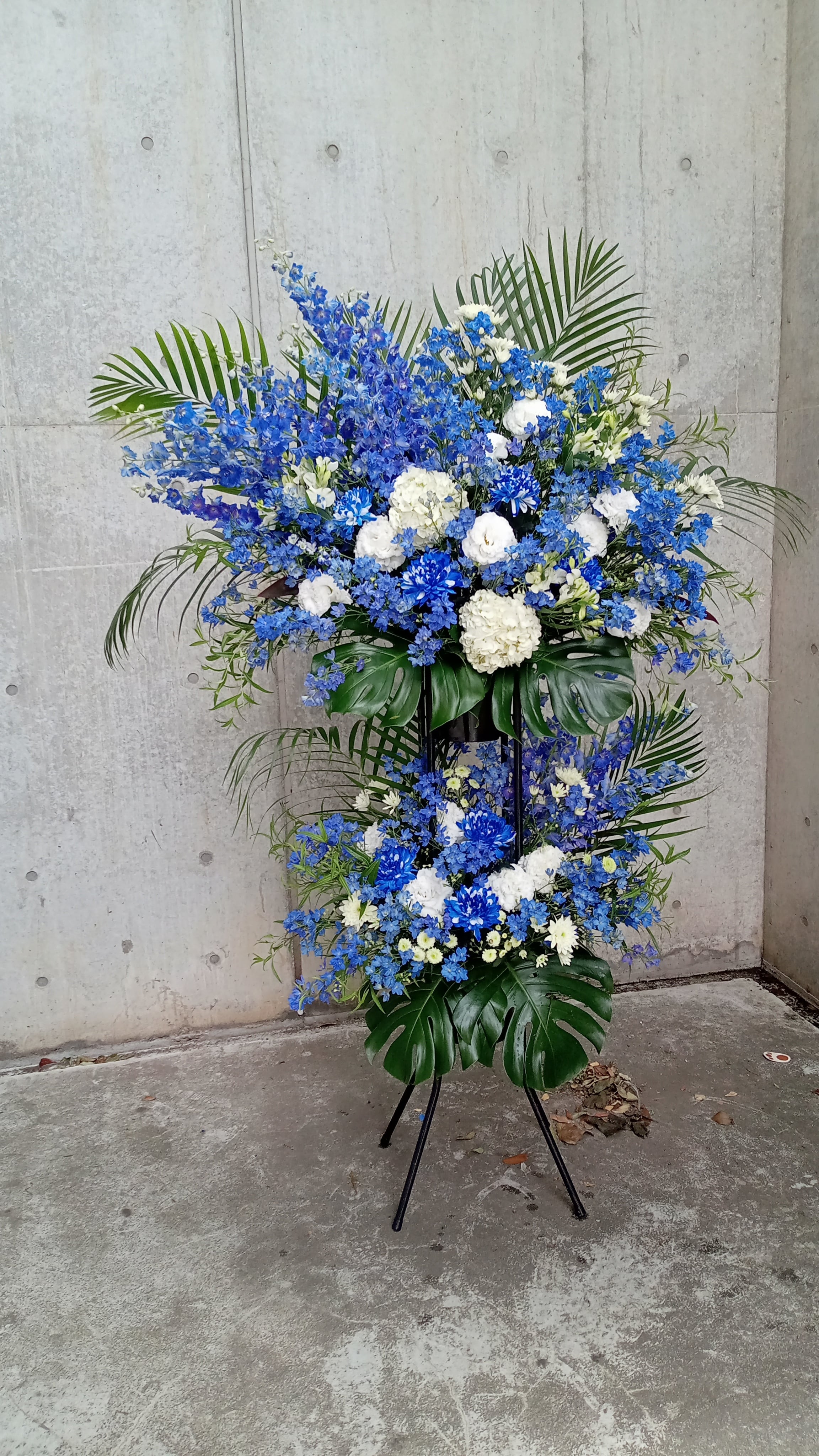 2c24d1103f0d9b5f1d12468961bca4