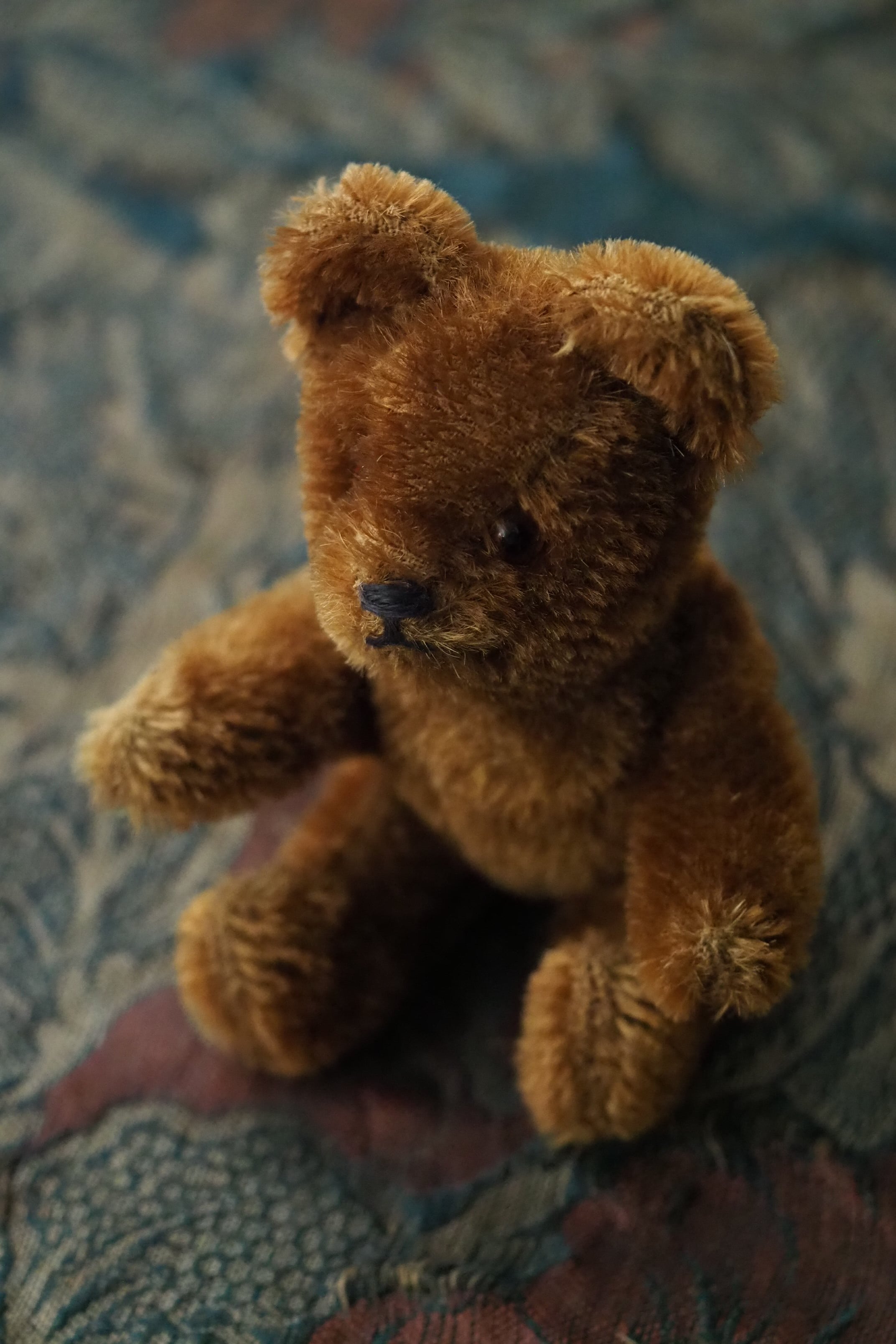 コロボックルくまちゃん-vintage teddy bear | アンティーク