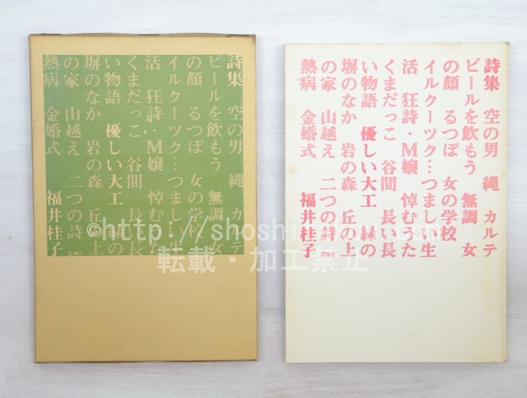 詩集 優しい大工 / 福井桂子 [33615] | 書肆田高