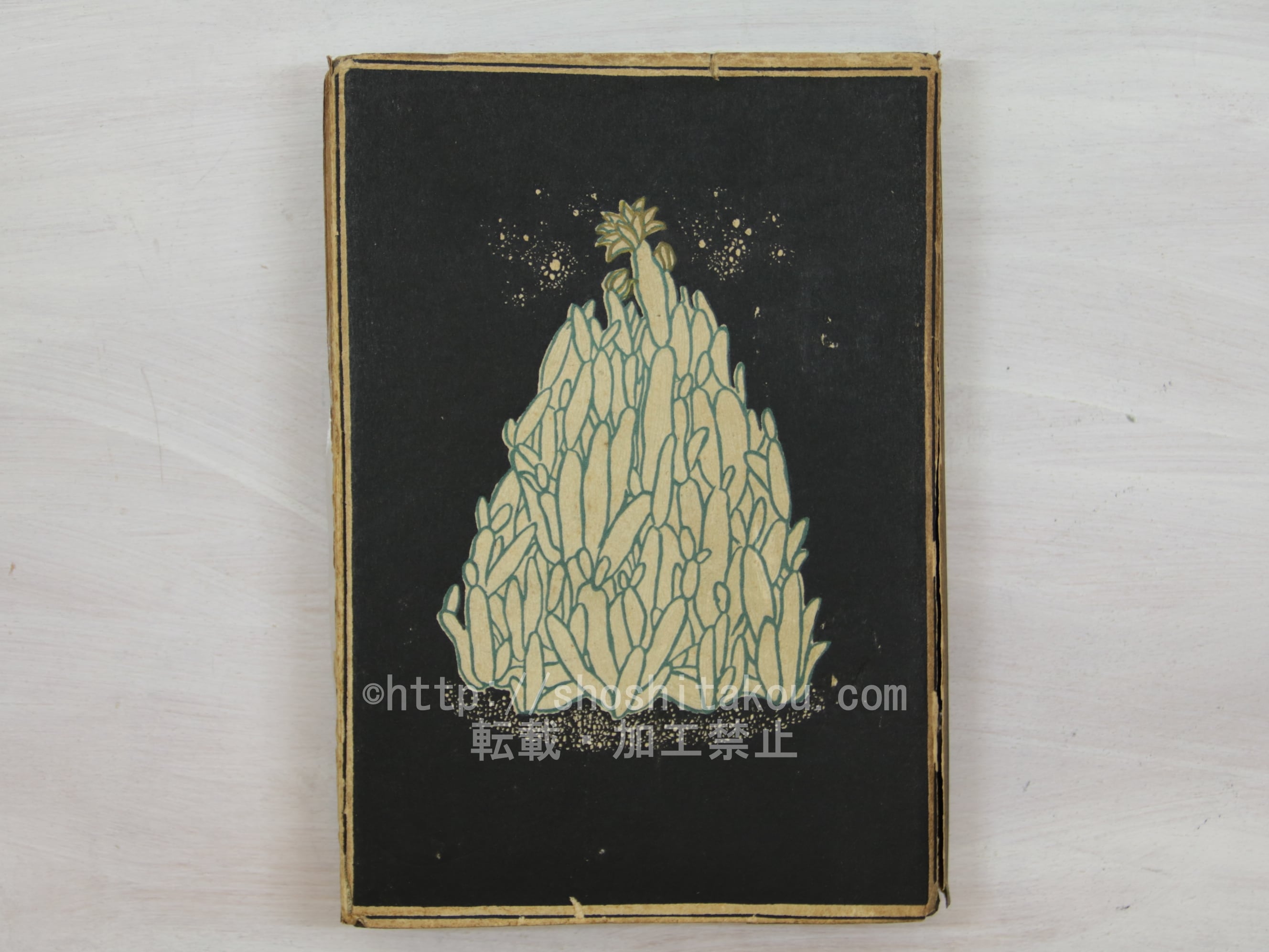 詩の媒体としての漢字考 アーネスト・フェノロサ=エズラ・パウンド芸術