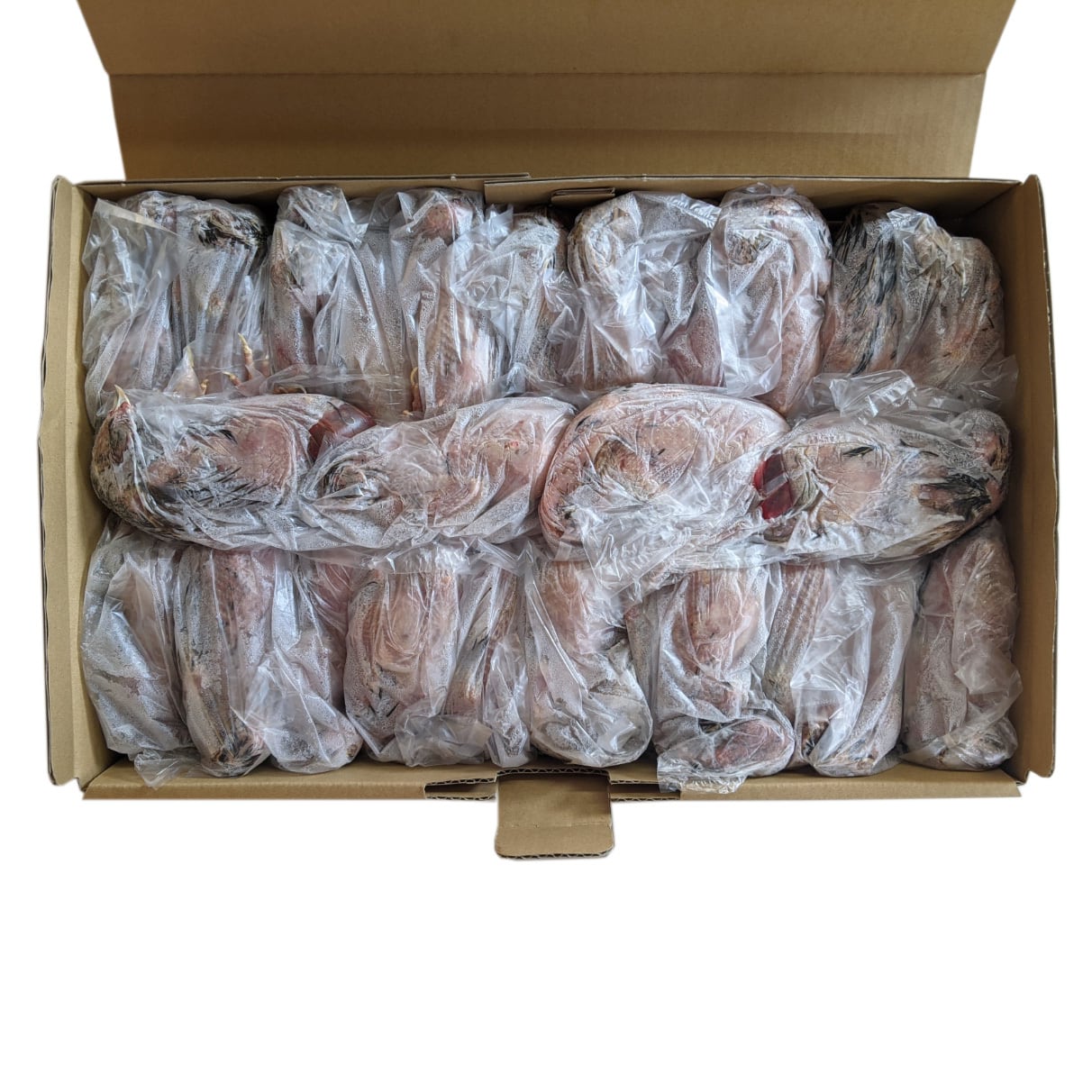 豊橋産 冷凍ウズラ 未処理 25羽1ケース 親ウズラ 猛禽類・爬虫類の餌に