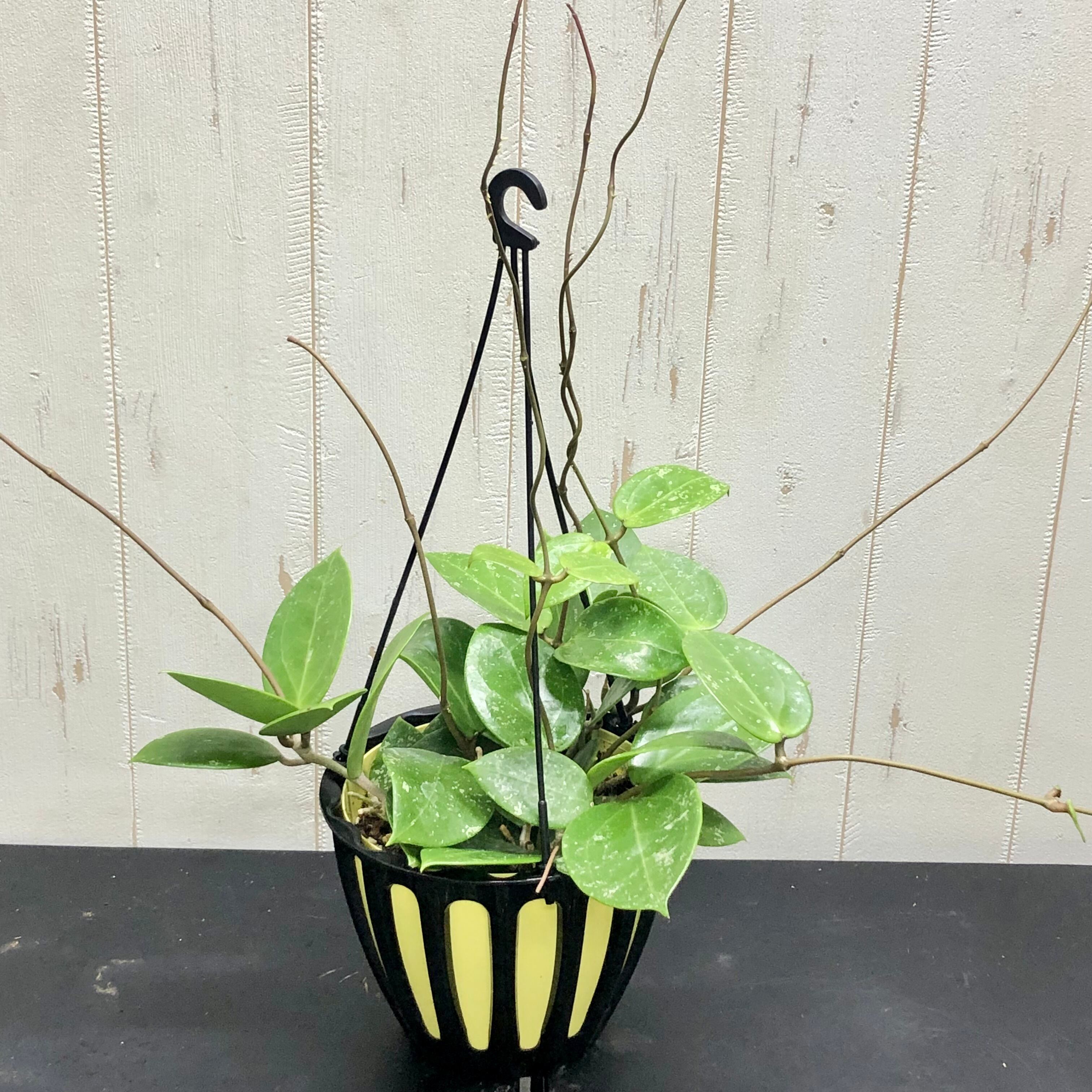 2f5486bc3f4dafb74a209507fd49cb