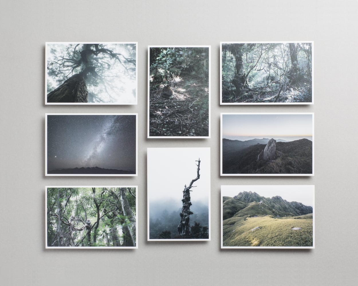 送料無料] 屋久島ポストカード8枚セット | Kilty BOOKS / SAUNTER Magazine