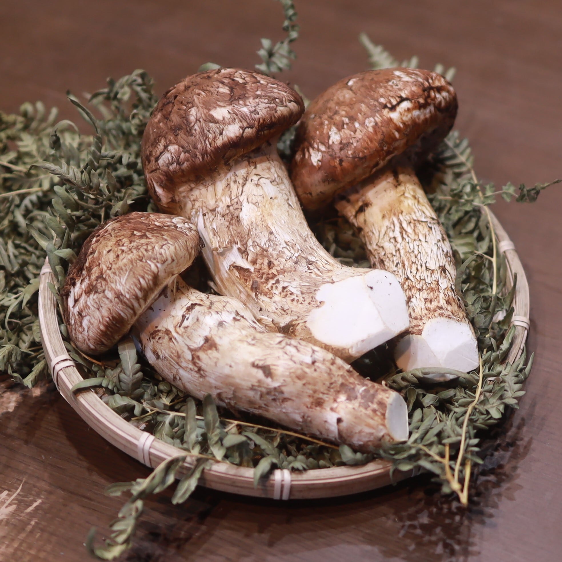 シーズン中 限定品 【中ひらき 大】 500g | 信州松茸屋 茸王-松覇