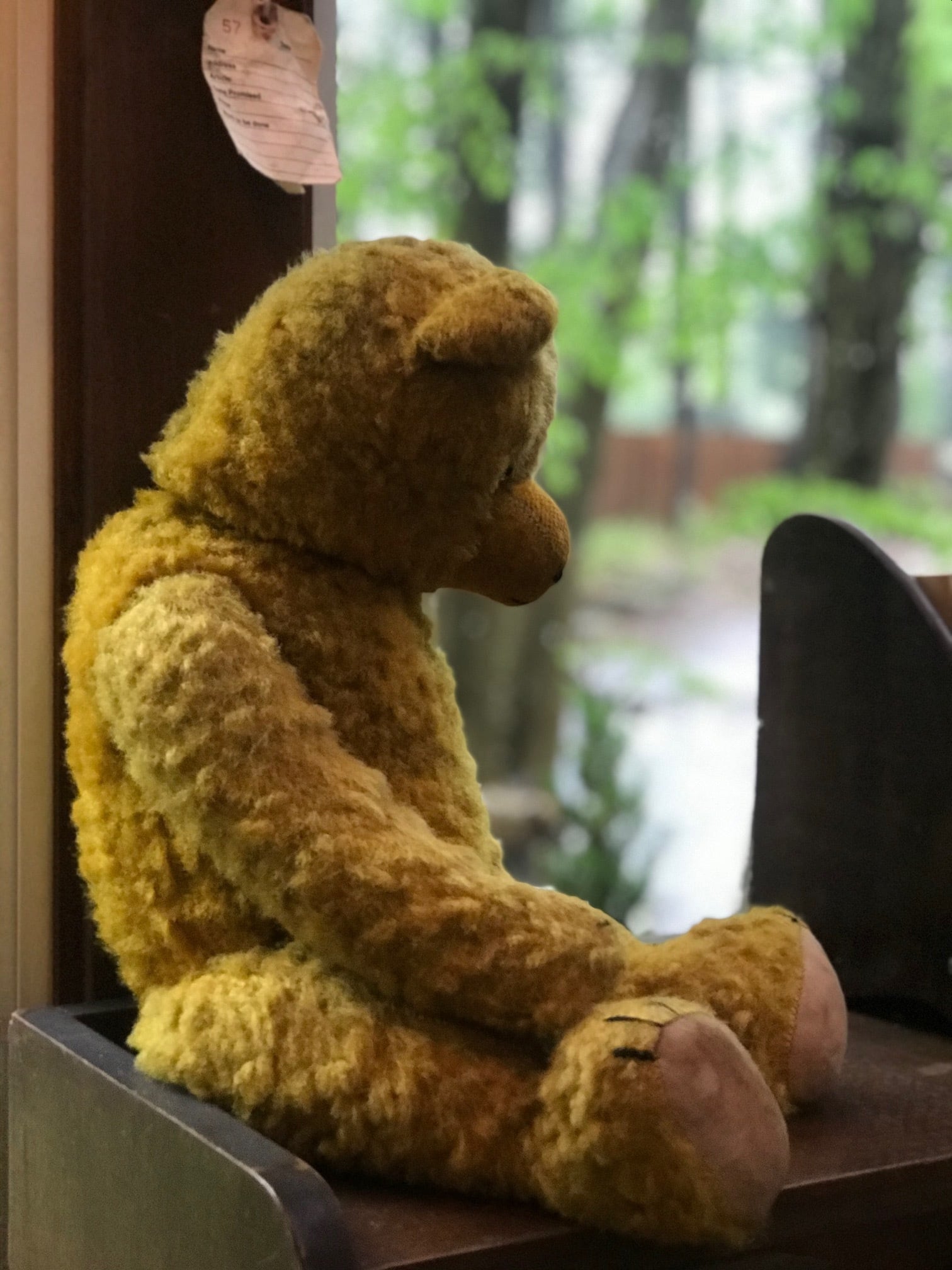 アンティーク ドイツ 1940年代 テディベア | 家貨屋 kakaya