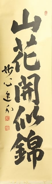 309740f5c976d0a18c343d47cc9f0c