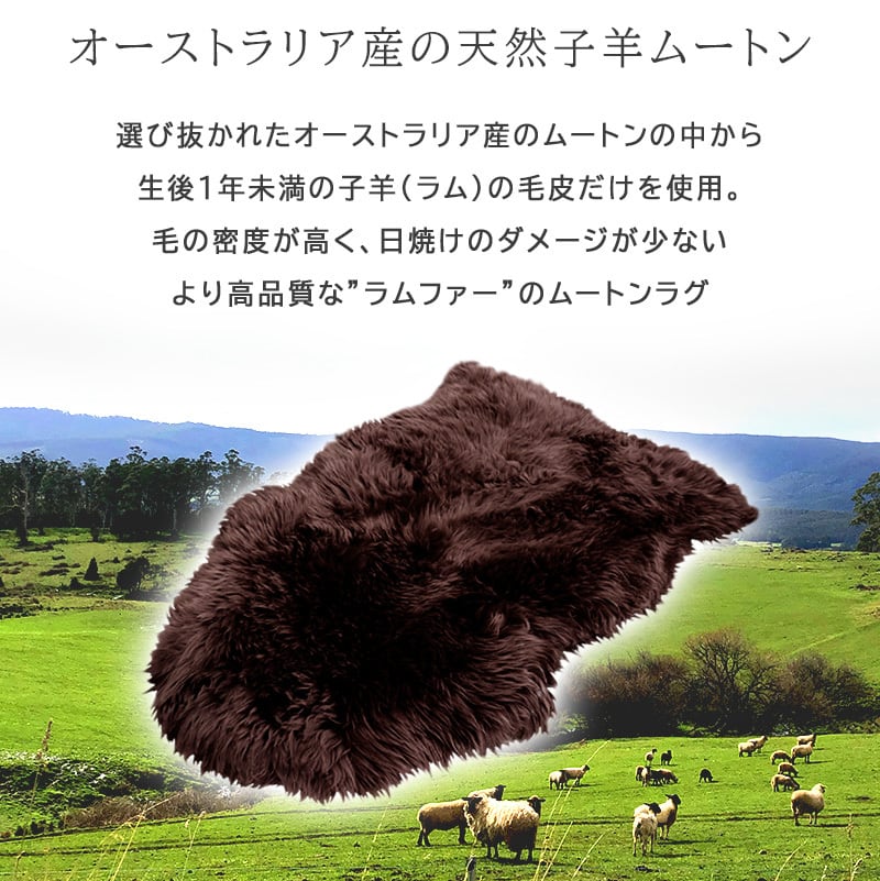 ムートンラグ 1匹物 子羊 ラムートン 60×90cm 本革 毛皮